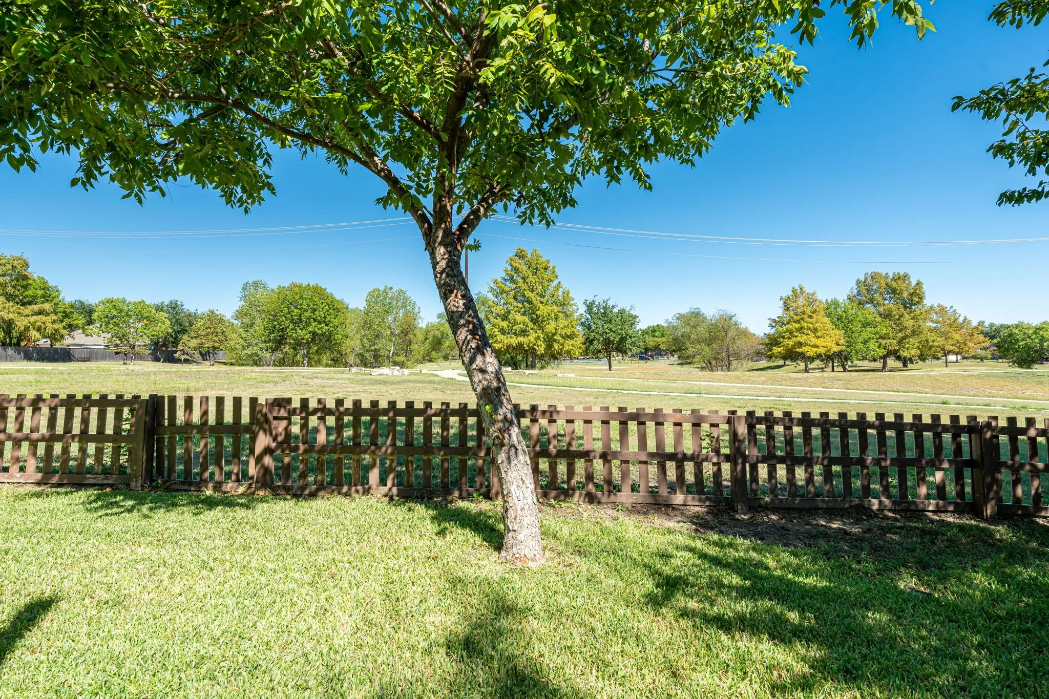 Single Family Residence For Sale in Collin County , 313 Mimosa Drive, Murphy, Texas 75094, 3 Bedroom, 2 Bathroom, 2 Garage spaces, 2,536 Sqft, built in 2000, mls#21406366, Real Estate Agent in Murphy, Homes For Sale in Collin county, Homes For Sale in Murphy, Realtor in Murphy Texas, Real Estate Brokerage Independent Realty Texas, Luminita Cordes Realtor