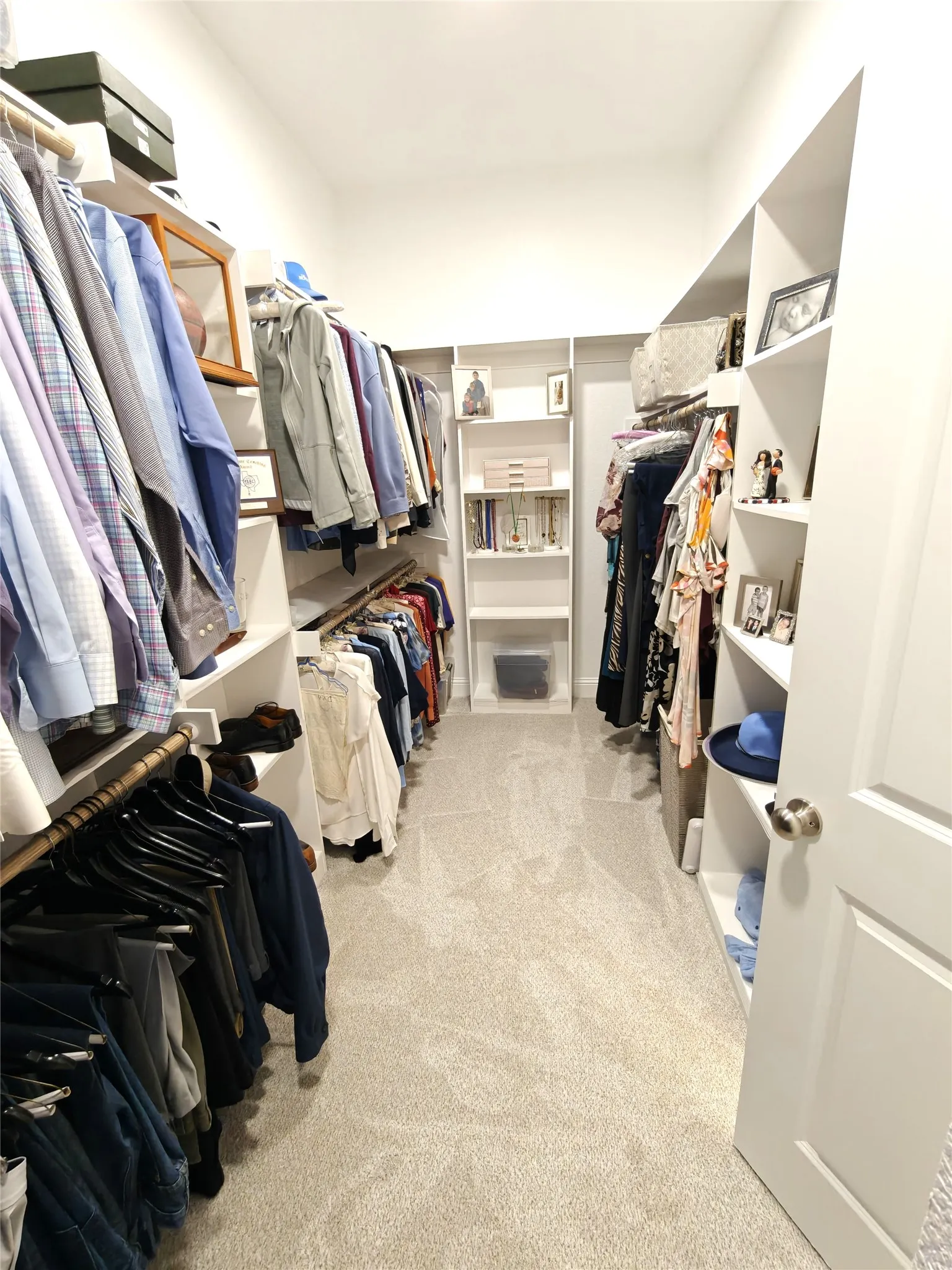 Walk-in closet featuring built-in shelving, hanging rods, and light-toned carpeting