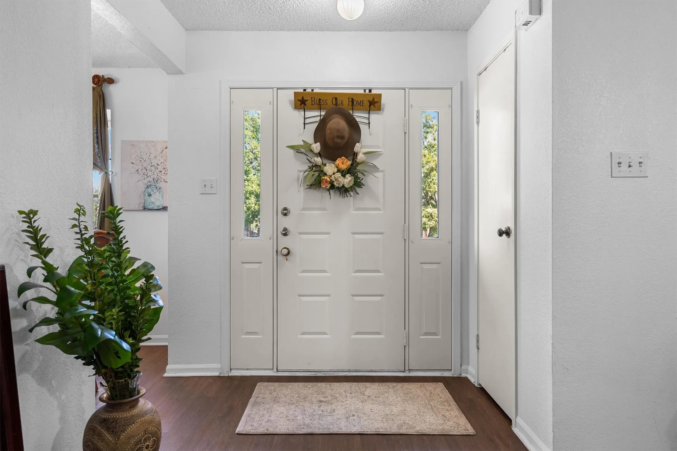 Front entry featuring a paneled door with glass sidelights, wood-finish flooring, and a flush mount ceiling light