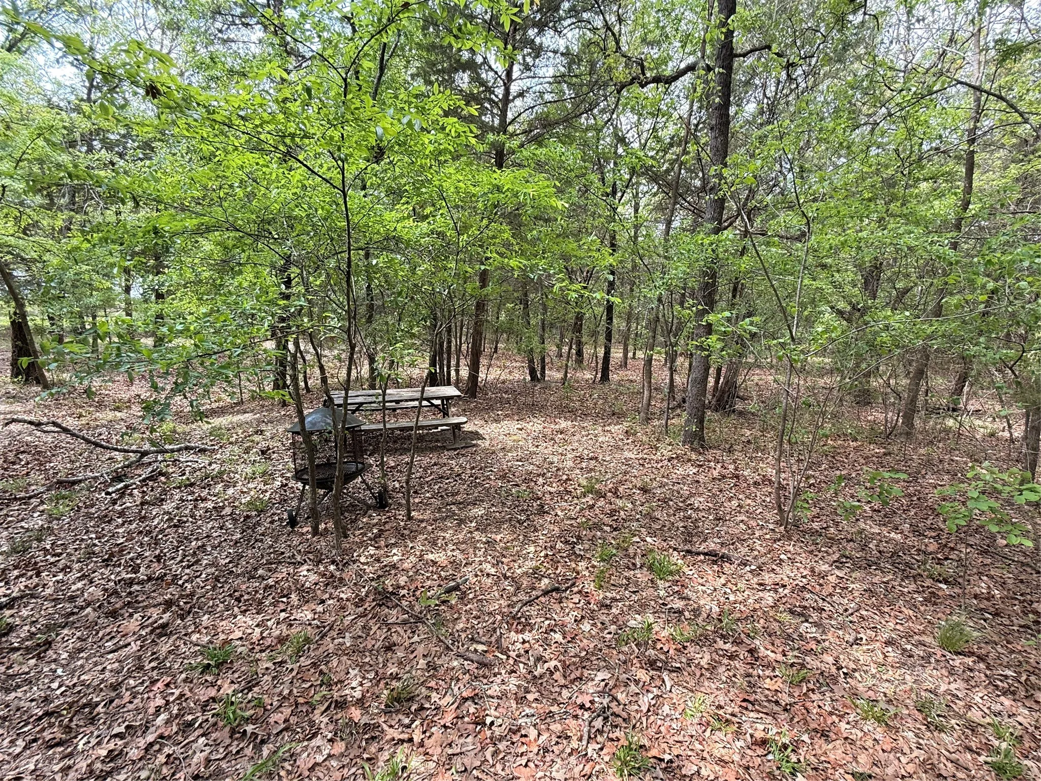 Manufactured Home For Sale in Wood County , 6435 FM 17 LOTS 68-77, Yantis, Texas 75497, 3 Bedroom, 2 Bathroom, Garage spaces, 700 Sqft, built in 2009, mls#21407730, Real Estate Agent in Yantis, Homes For Sale in Wood county, Homes For Sale in Yantis, Realtor in Yantis Texas, Real Estate Brokerage Independent Realty Texas, Luminita Cordes Realtor