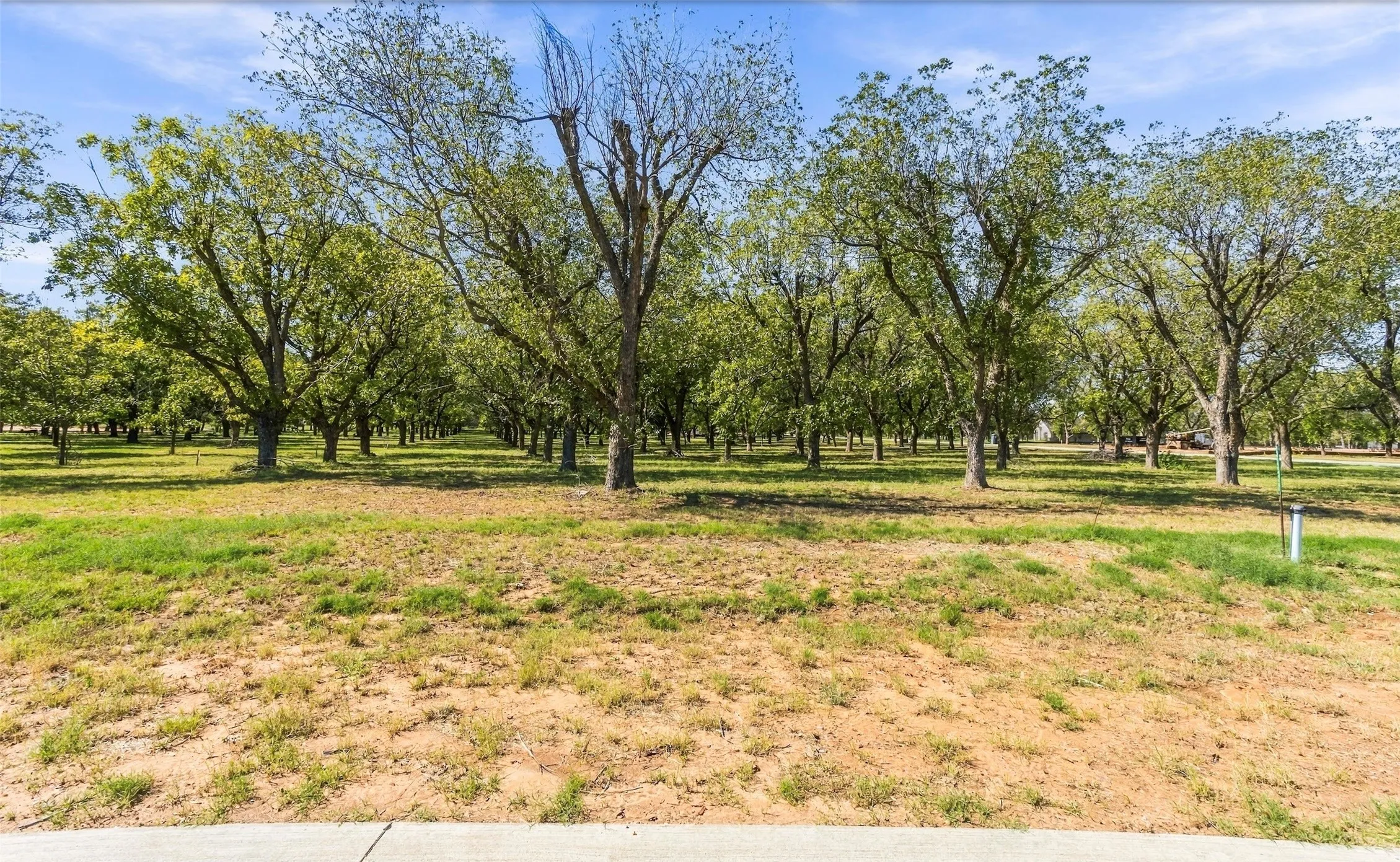 Unimproved Land For Sale