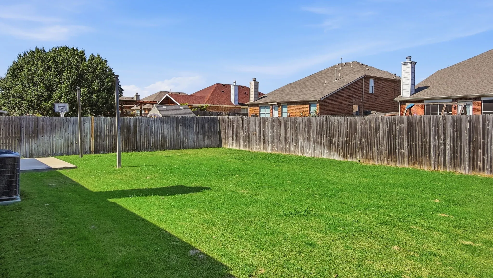 Back yard