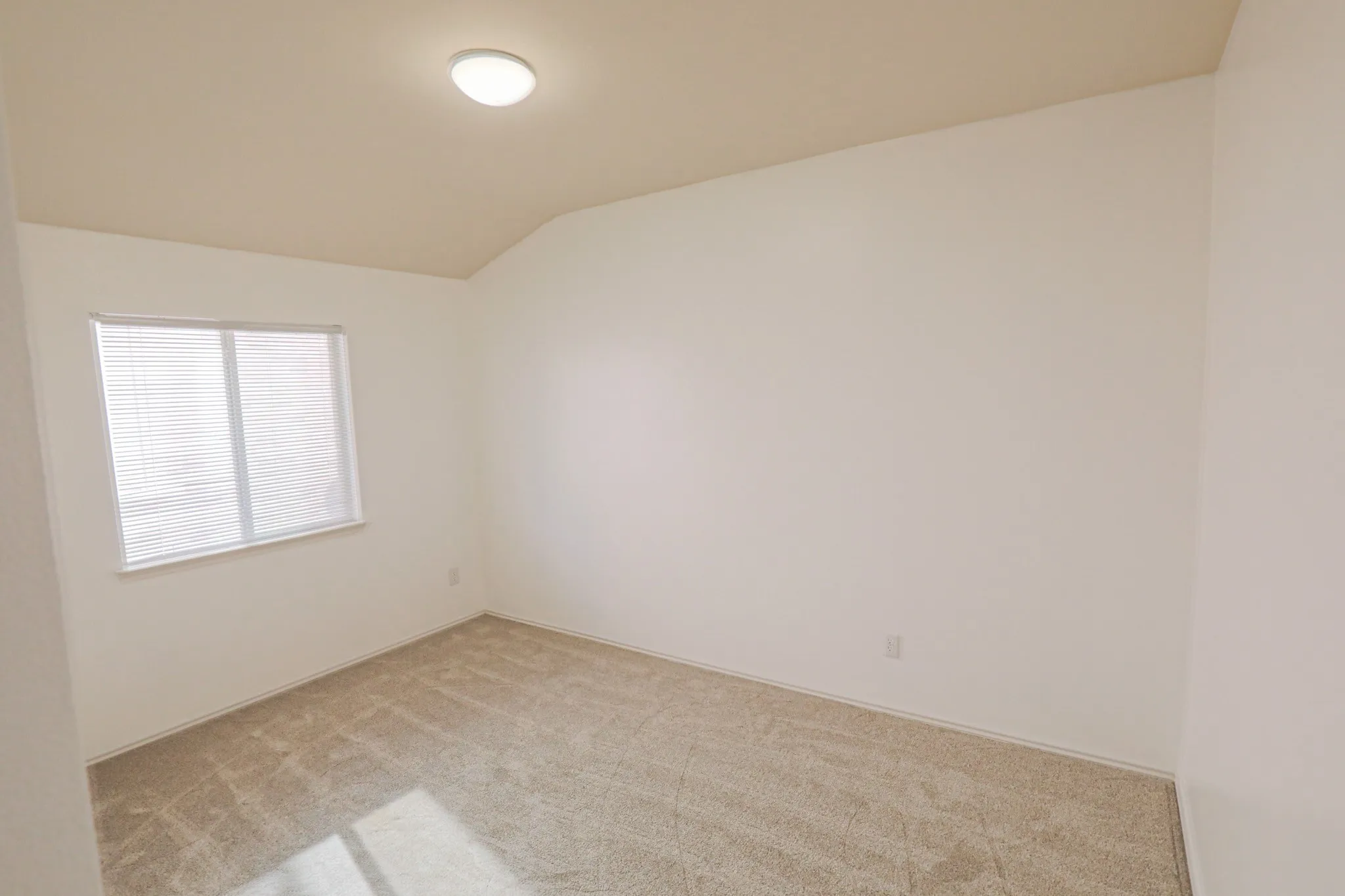 Neutral wall paint, carpet flooring, window with blinds, and flush mount ceiling light