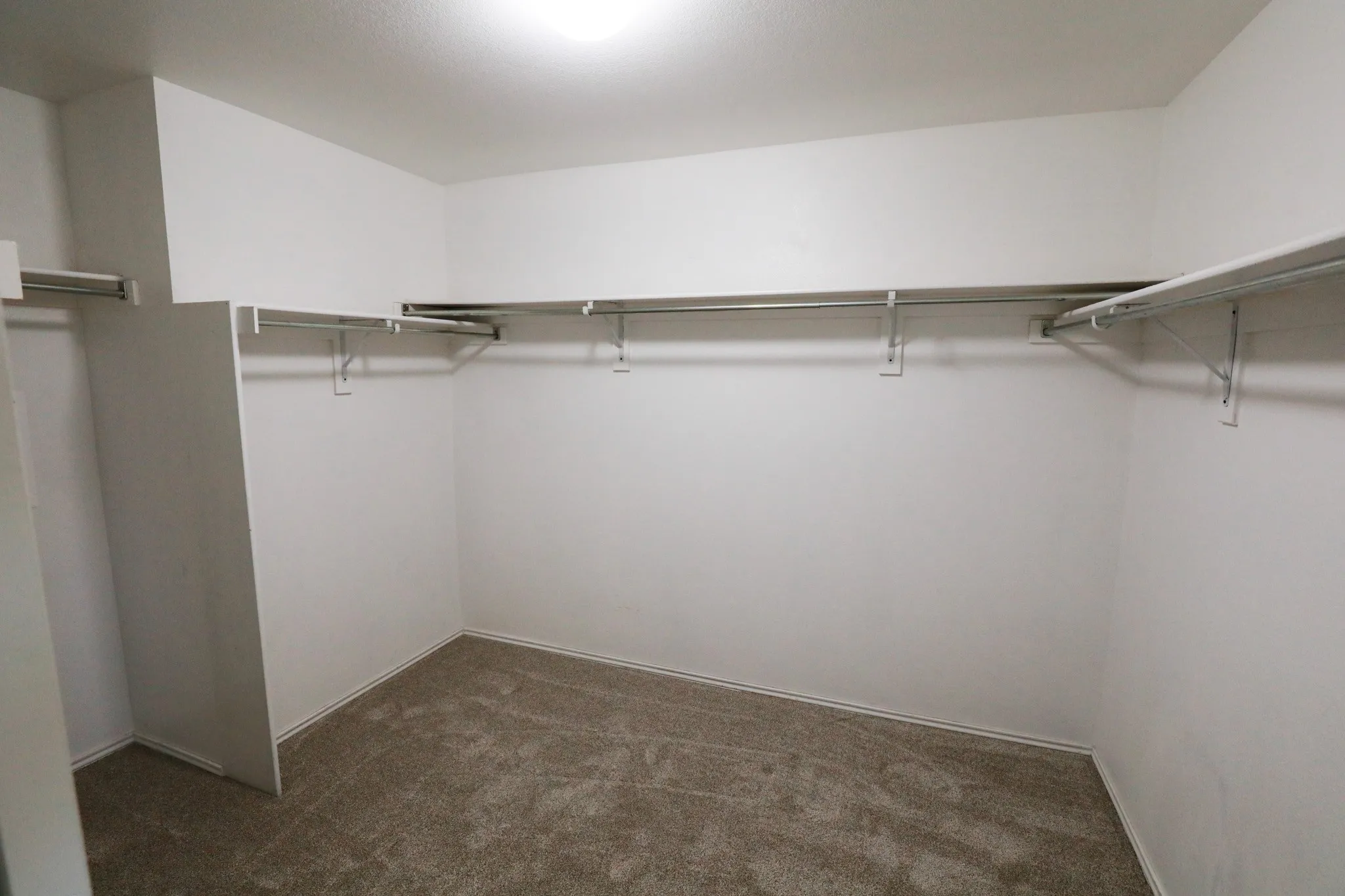 Walk-in closet with carpet flooring, white walls, and built-in metal shelving