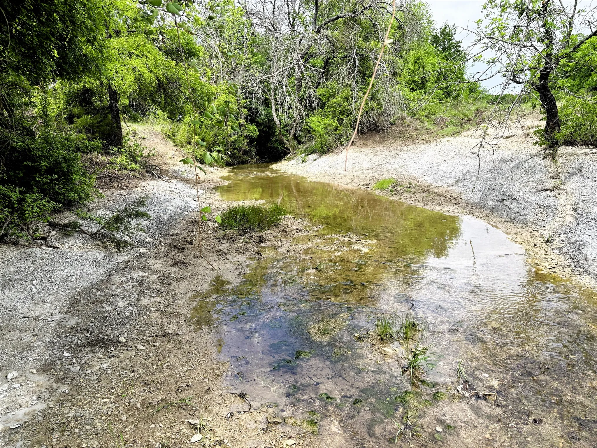 Farm For Sale in Mc Lennan County , 2379 Spring Valley Road, Lorena, Texas 76655, 4 Bedroom, 3 Bathroom, 3 Garage spaces, 2,645 Sqft, built in 1972, mls#21402862, Real Estate Agent in Lorena, Homes For Sale in Mc Lennan county, Homes For Sale in Lorena, Realtor in Lorena Texas, Real Estate Brokerage Independent Realty Texas, Luminita Cordes Realtor