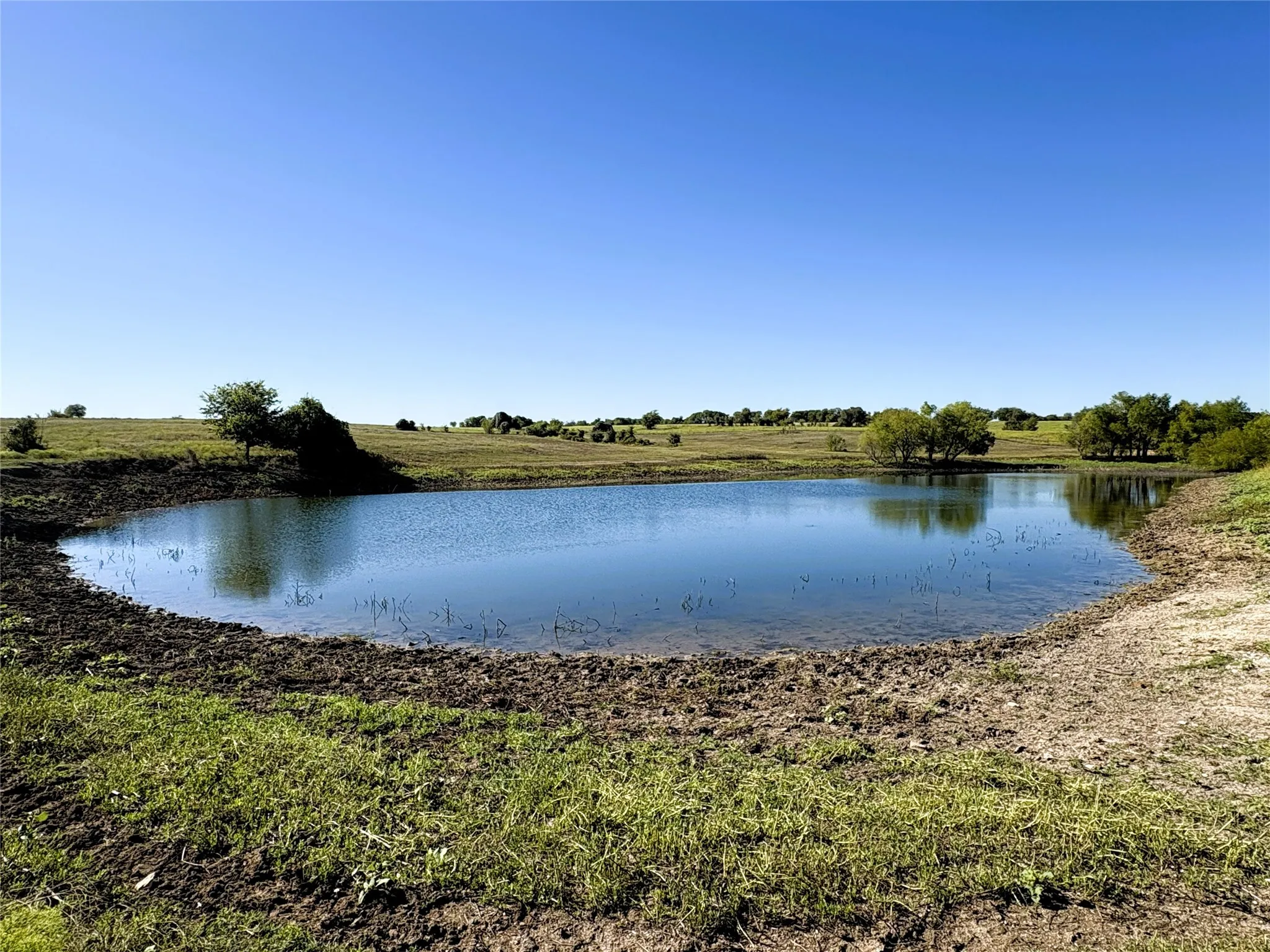 Farm For Sale in Mc Lennan County , 2379 Spring Valley Road, Lorena, Texas 76655, 4 Bedroom, 3 Bathroom, 3 Garage spaces, 2,645 Sqft, built in 1972, mls#21402862, Real Estate Agent in Lorena, Homes For Sale in Mc Lennan county, Homes For Sale in Lorena, Realtor in Lorena Texas, Real Estate Brokerage Independent Realty Texas, Luminita Cordes Realtor