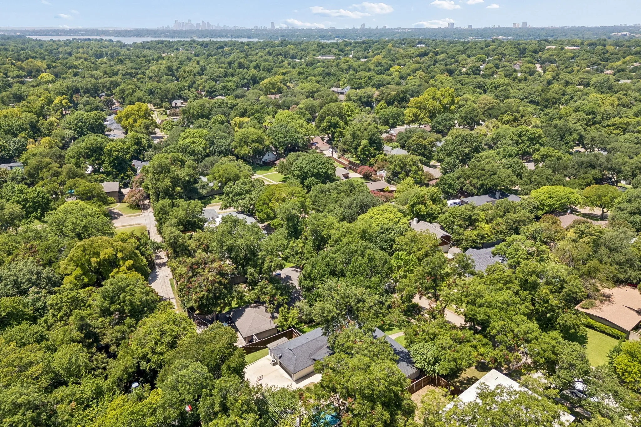 Expansive tree-lined neighborhood with residential properties, streets, and distant city skyline