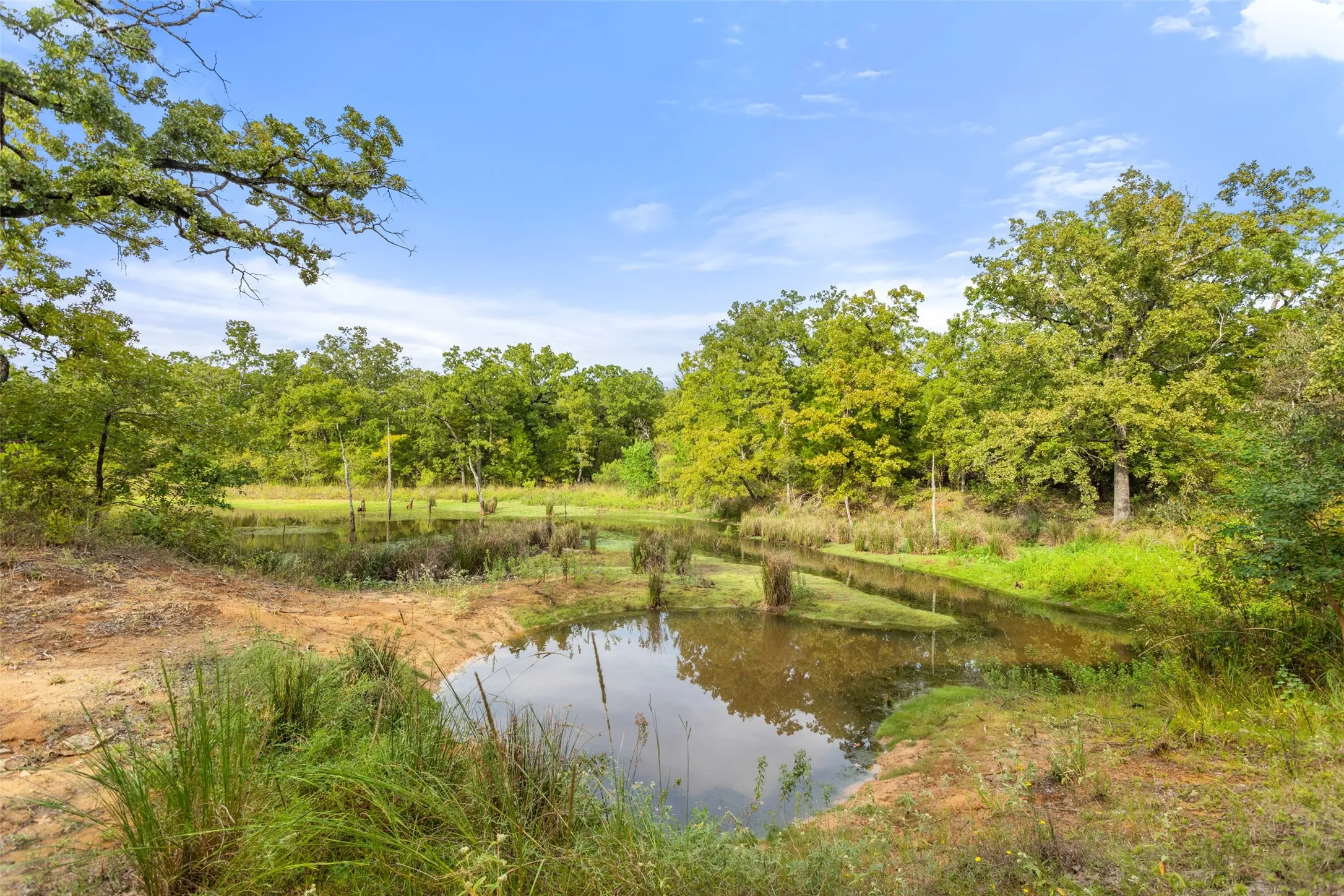 Single Family Residence For Sale in Henderson County , 10273 Private Road 5211, Malakoff, Texas 75148, 3 Bedroom, 2 Bathroom, 2 Garage spaces, 1,889 Sqft, built in 2022, mls#21407079, Real Estate Agent in Malakoff, Homes For Sale in Henderson county, Homes For Sale in Malakoff, Realtor in Malakoff Texas, Real Estate Brokerage Independent Realty Texas, Luminita Cordes Realtor