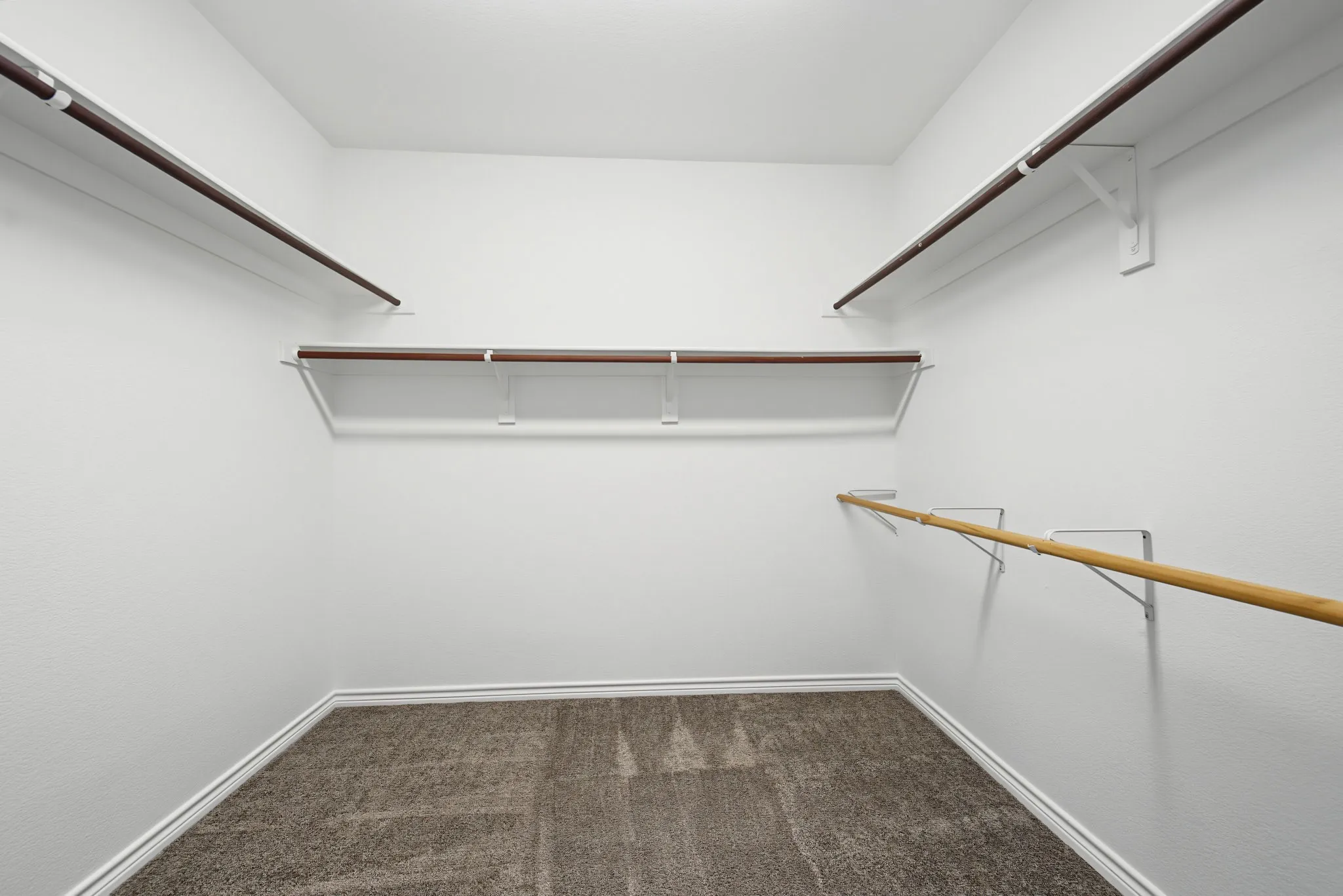 Walk-in closet featuring carpet flooring, crisp white walls, and multiple clothing rods with shelving