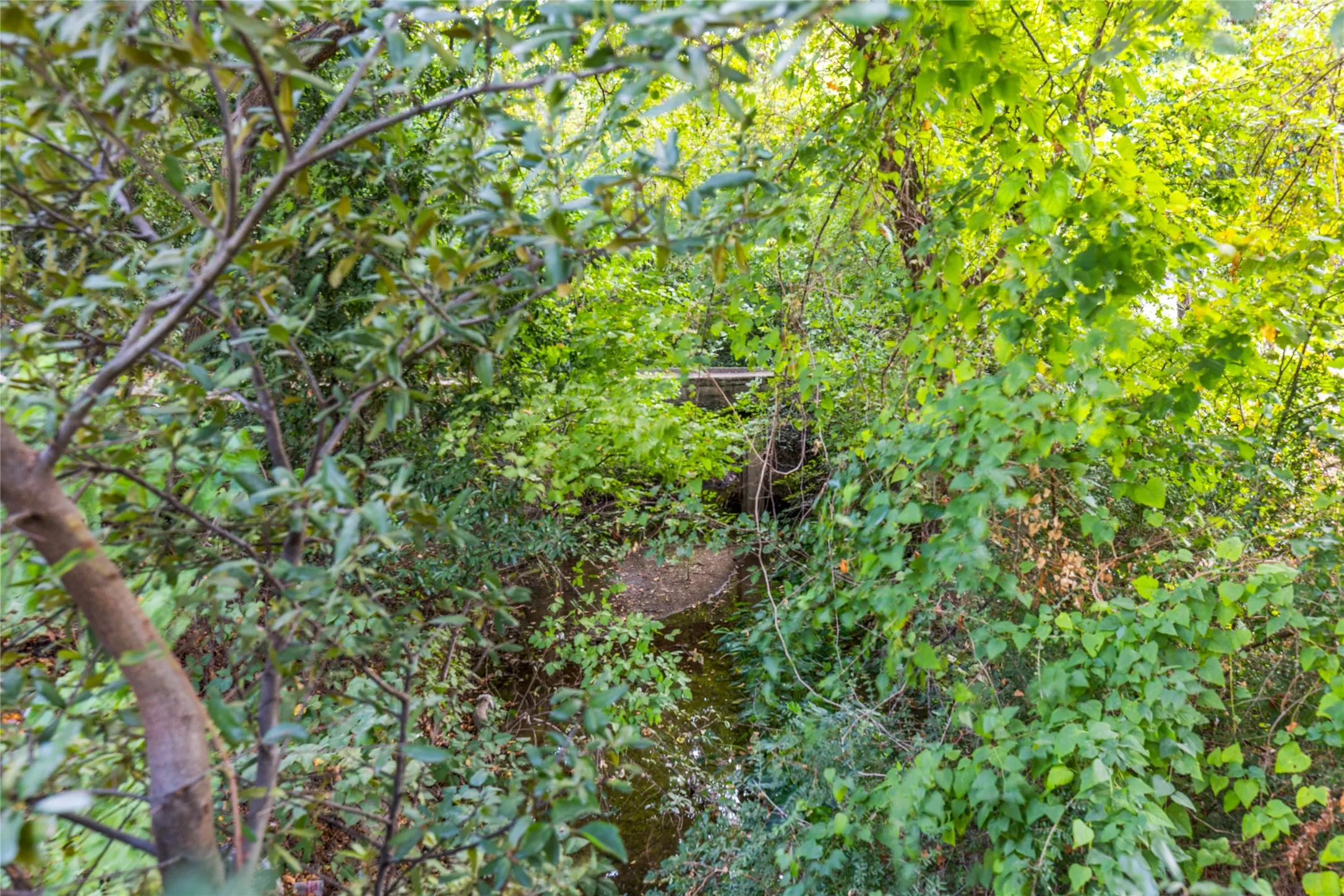 The wooded creek creates a remarkable natural backdrop just minutes from the city.