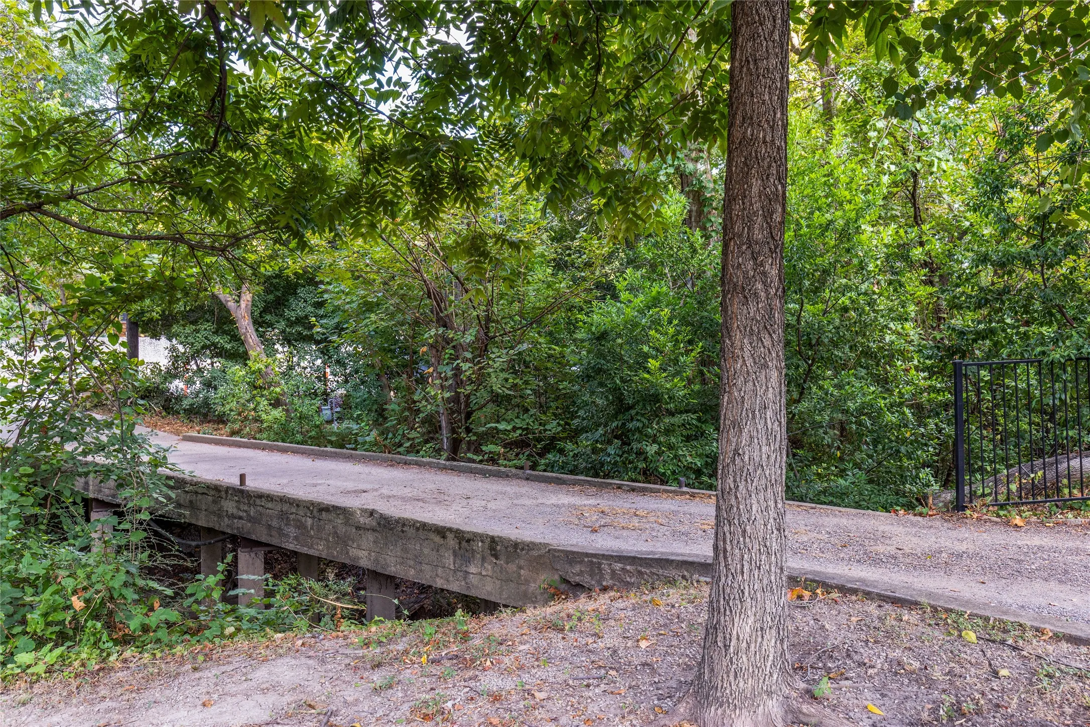 The driveway crosses a bridge over the creek, creating a memorable arrival into the property.