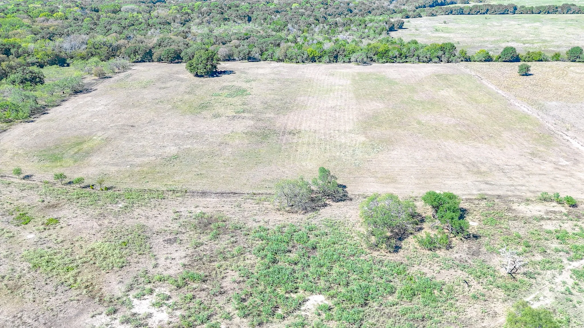 Unimproved Land For Sale in Navarro County , 9595 County Road 2160, Kerens, Texas 75144, 0, 0, Garage spaces, 0 Sqft, built in 2004, mls#21407434, Real Estate Agent in Kerens, Homes For Sale in Navarro county, Homes For Sale in Kerens, Realtor in Kerens Texas, Real Estate Brokerage Independent Realty Texas, Luminita Cordes Realtor