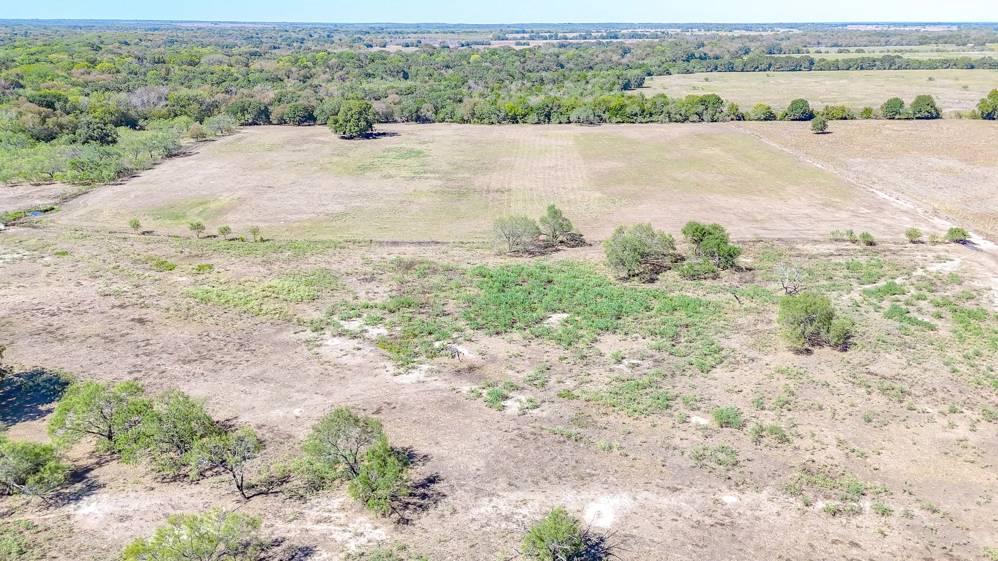 Unimproved Land For Sale in Navarro County , 9595 County Road 2160, Kerens, Texas 75144, 0, 0, Garage spaces, 0 Sqft, built in 2004, mls#21407434, Real Estate Agent in Kerens, Homes For Sale in Navarro county, Homes For Sale in Kerens, Realtor in Kerens Texas, Real Estate Brokerage Independent Realty Texas, Luminita Cordes Realtor