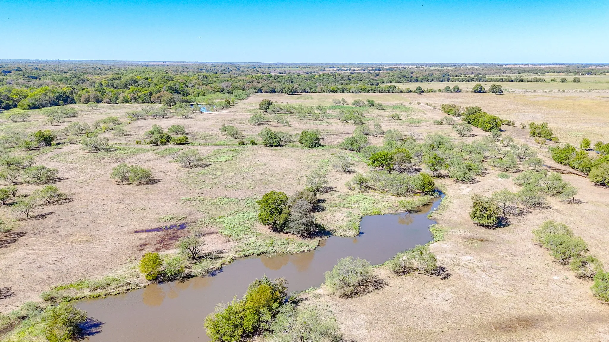 Unimproved Land For Sale in Navarro County , 9595 County Road 2160, Kerens, Texas 75144, 0, 0, Garage spaces, 0 Sqft, built in 2004, mls#21407434, Real Estate Agent in Kerens, Homes For Sale in Navarro county, Homes For Sale in Kerens, Realtor in Kerens Texas, Real Estate Brokerage Independent Realty Texas, Luminita Cordes Realtor