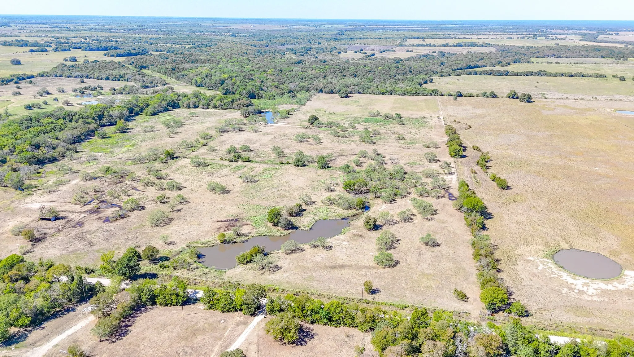 Unimproved Land For Sale in Navarro County , 9595 County Road 2160, Kerens, Texas 75144, 0, 0, Garage spaces, 0 Sqft, built in 2004, mls#21407434, Real Estate Agent in Kerens, Homes For Sale in Navarro county, Homes For Sale in Kerens, Realtor in Kerens Texas, Real Estate Brokerage Independent Realty Texas, Luminita Cordes Realtor