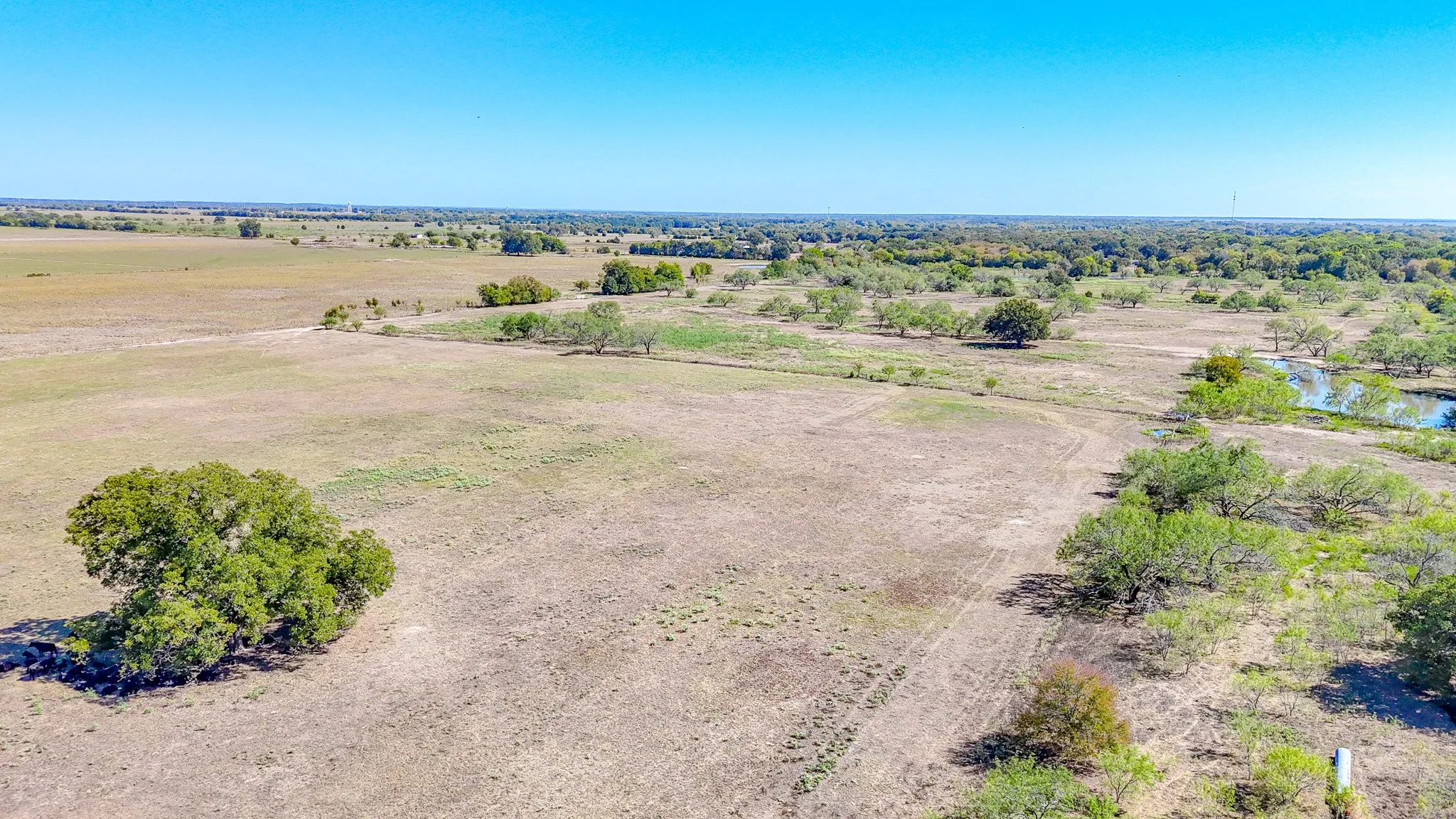 Unimproved Land For Sale in Navarro County , 9595 County Road 2160, Kerens, Texas 75144, 0, 0, Garage spaces, 0 Sqft, built in 2004, mls#21407434, Real Estate Agent in Kerens, Homes For Sale in Navarro county, Homes For Sale in Kerens, Realtor in Kerens Texas, Real Estate Brokerage Independent Realty Texas, Luminita Cordes Realtor