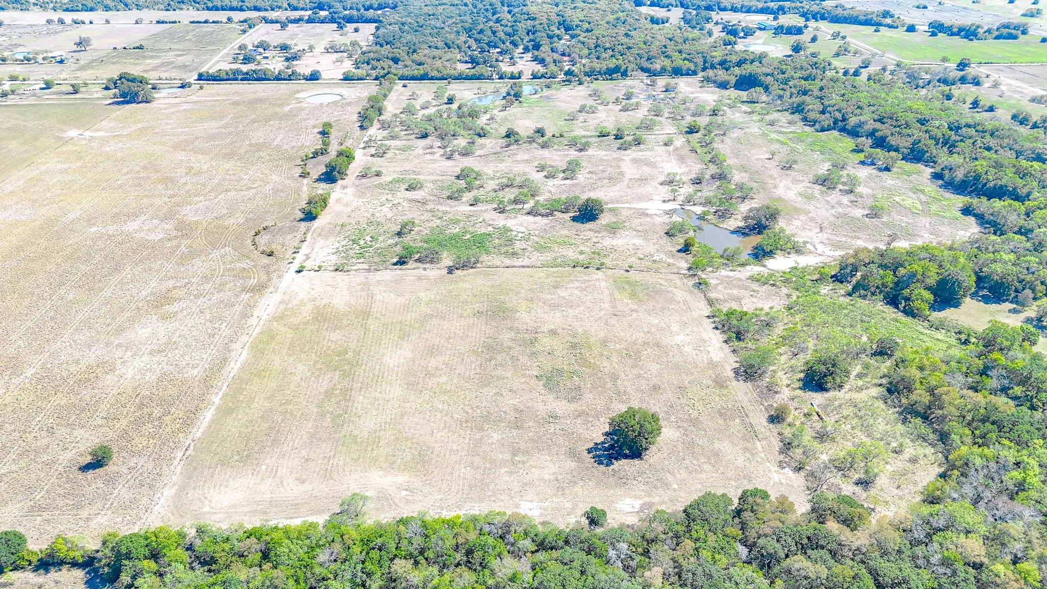 Unimproved Land For Sale in Navarro County , 9595 County Road 2160, Kerens, Texas 75144, 0, 0, Garage spaces, 0 Sqft, built in 2004, mls#21407434, Real Estate Agent in Kerens, Homes For Sale in Navarro county, Homes For Sale in Kerens, Realtor in Kerens Texas, Real Estate Brokerage Independent Realty Texas, Luminita Cordes Realtor