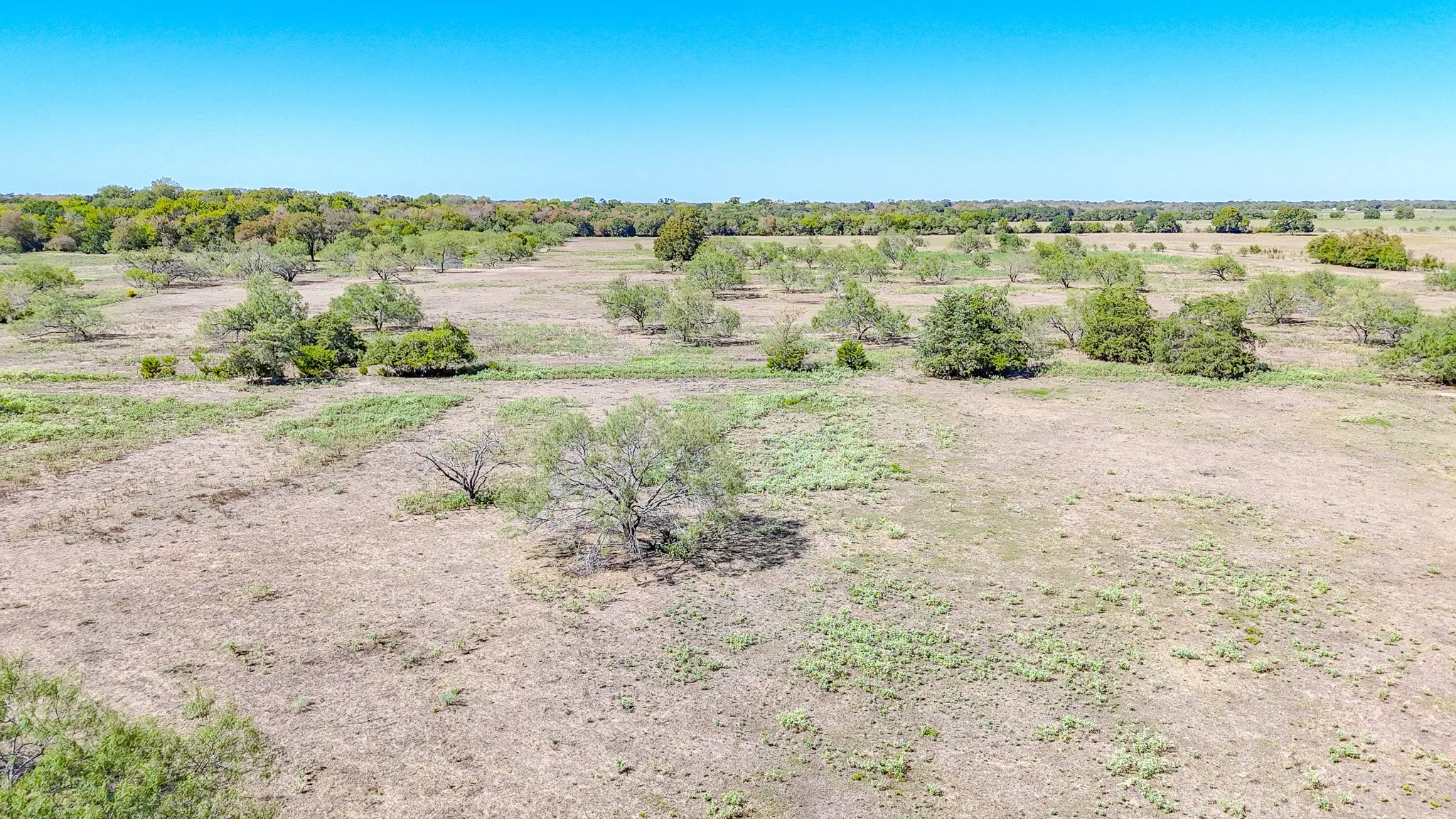 Unimproved Land For Sale in Navarro County , 9595 County Road 2160, Kerens, Texas 75144, 0, 0, Garage spaces, 0 Sqft, built in 2004, mls#21407434, Real Estate Agent in Kerens, Homes For Sale in Navarro county, Homes For Sale in Kerens, Realtor in Kerens Texas, Real Estate Brokerage Independent Realty Texas, Luminita Cordes Realtor