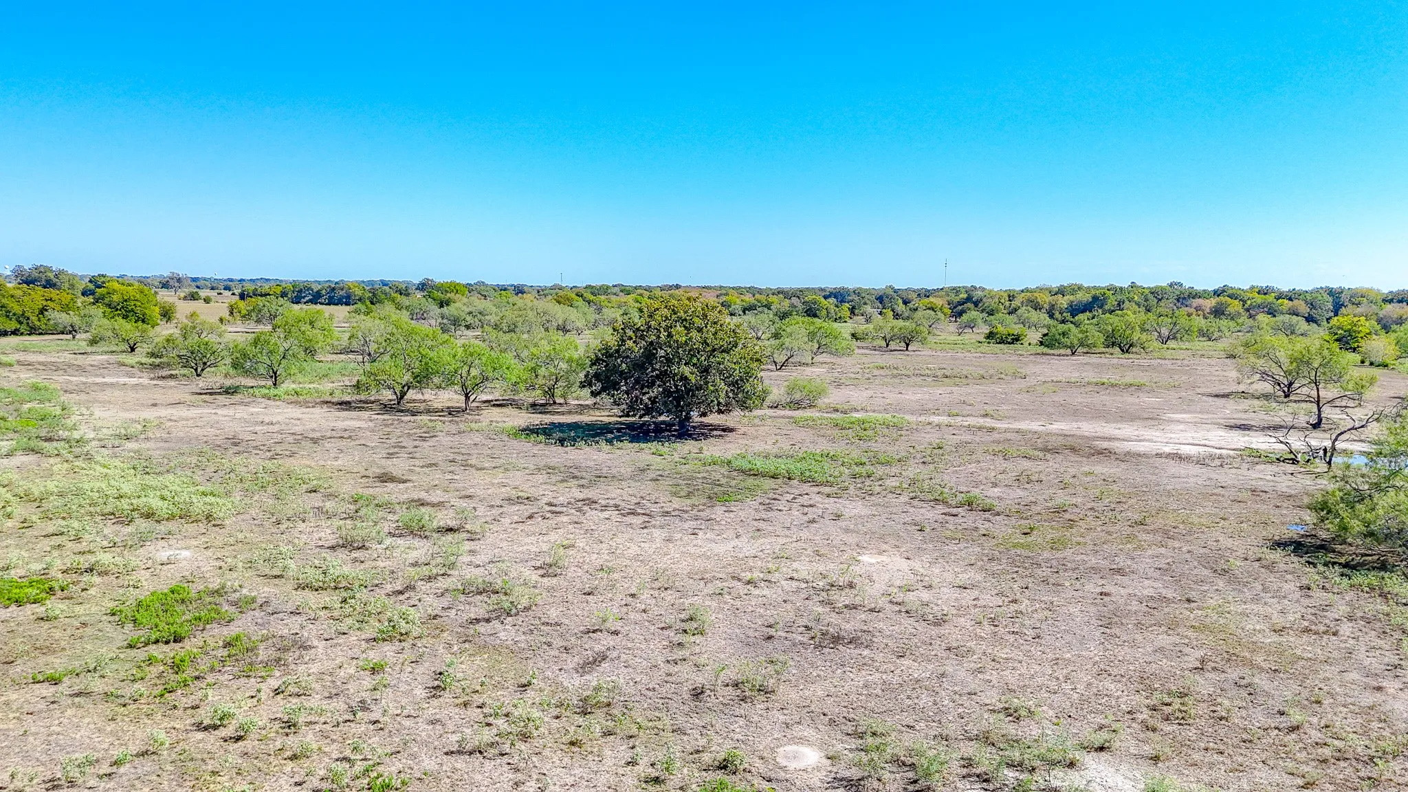 Unimproved Land For Sale in Navarro County , 9595 County Road 2160, Kerens, Texas 75144, 0, 0, Garage spaces, 0 Sqft, built in 2004, mls#21407434, Real Estate Agent in Kerens, Homes For Sale in Navarro county, Homes For Sale in Kerens, Realtor in Kerens Texas, Real Estate Brokerage Independent Realty Texas, Luminita Cordes Realtor