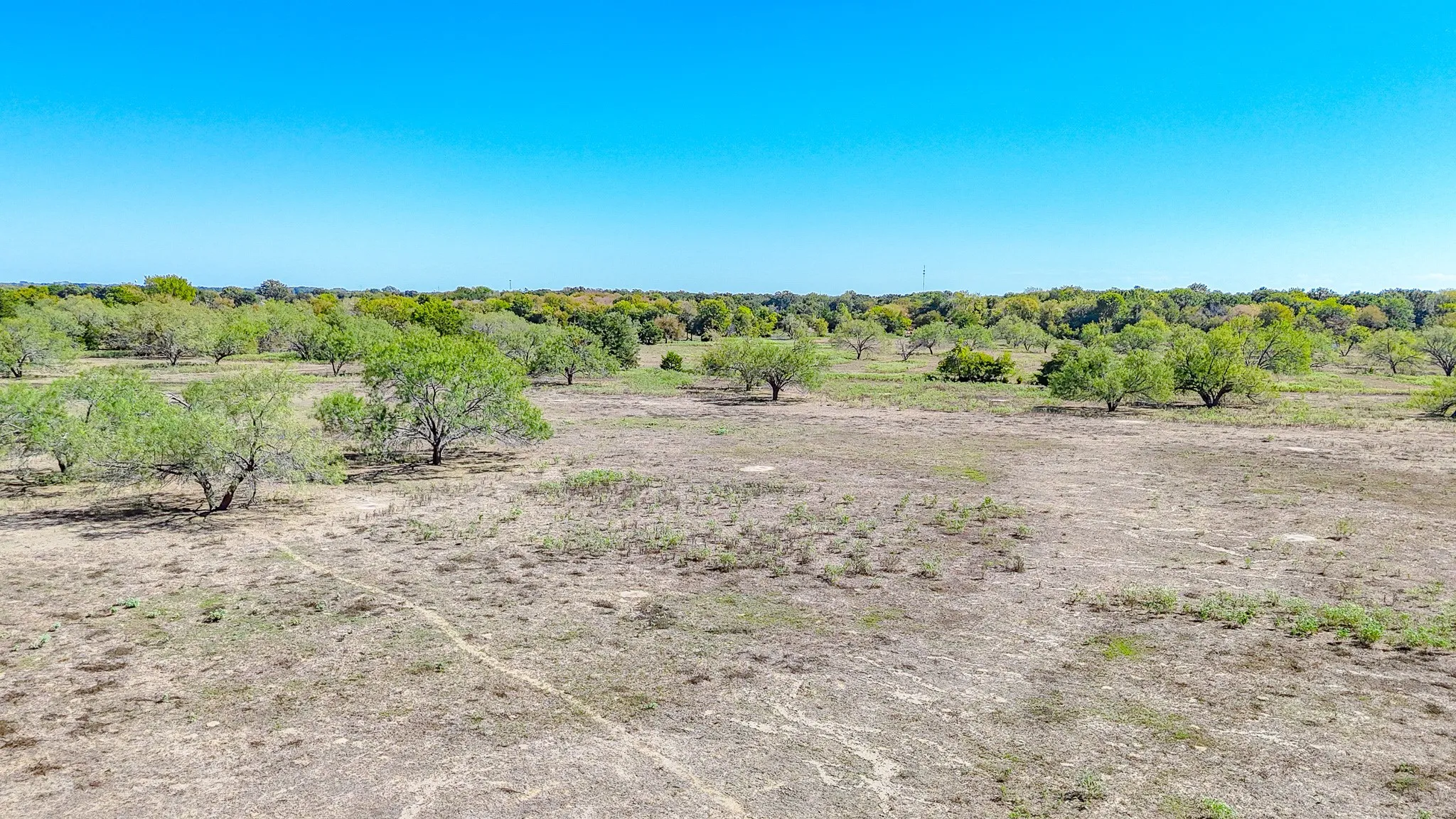 Unimproved Land For Sale in Navarro County , 9595 County Road 2160, Kerens, Texas 75144, 0, 0, Garage spaces, 0 Sqft, built in 2004, mls#21407434, Real Estate Agent in Kerens, Homes For Sale in Navarro county, Homes For Sale in Kerens, Realtor in Kerens Texas, Real Estate Brokerage Independent Realty Texas, Luminita Cordes Realtor
