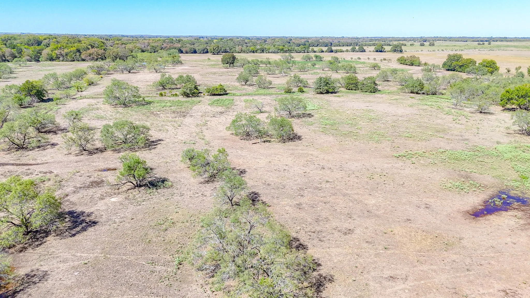 Unimproved Land For Sale in Navarro County , 9595 County Road 2160, Kerens, Texas 75144, 0, 0, Garage spaces, 0 Sqft, built in 2004, mls#21407434, Real Estate Agent in Kerens, Homes For Sale in Navarro county, Homes For Sale in Kerens, Realtor in Kerens Texas, Real Estate Brokerage Independent Realty Texas, Luminita Cordes Realtor