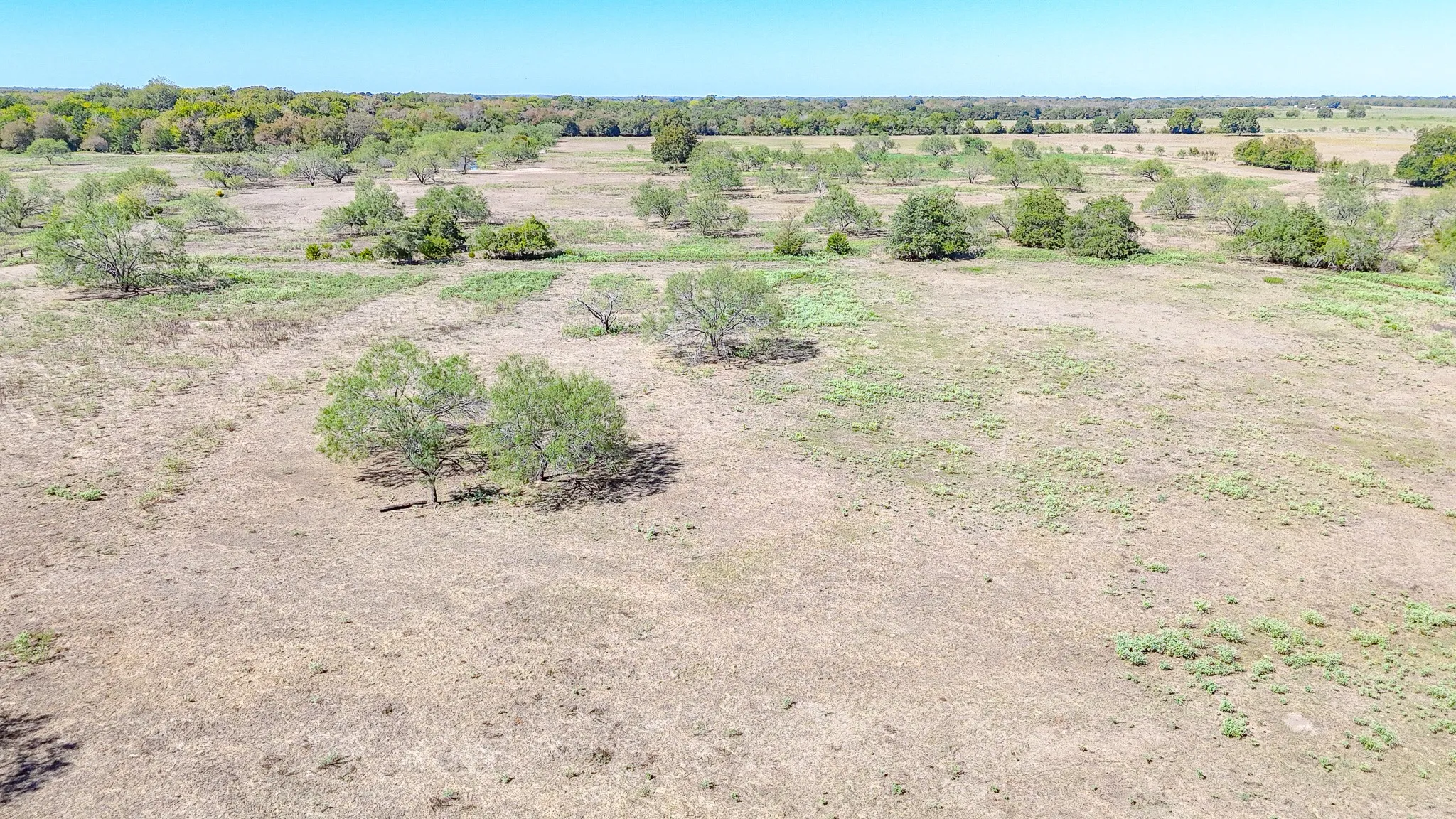 Unimproved Land For Sale in Navarro County , 9595 County Road 2160, Kerens, Texas 75144, 0, 0, Garage spaces, 0 Sqft, built in 2004, mls#21407434, Real Estate Agent in Kerens, Homes For Sale in Navarro county, Homes For Sale in Kerens, Realtor in Kerens Texas, Real Estate Brokerage Independent Realty Texas, Luminita Cordes Realtor