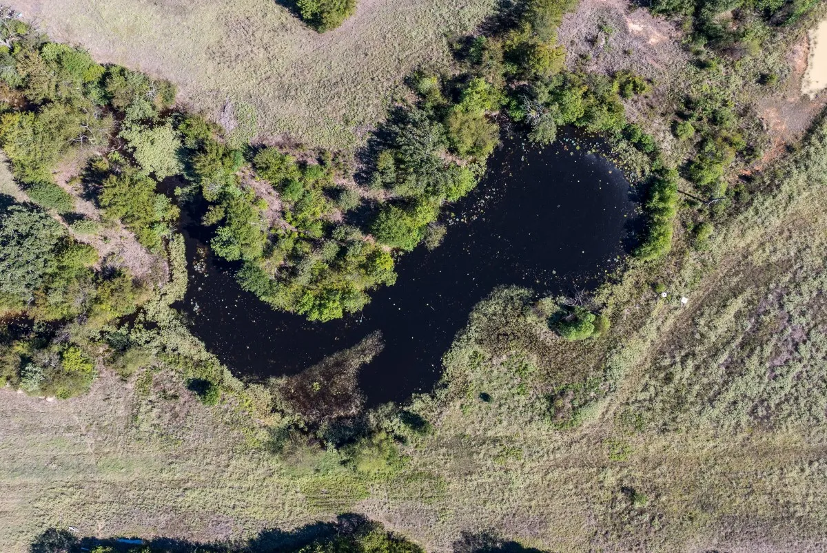 Unimproved Land For Sale in Henderson County , 000 Double Bridge Road, Mabank, Texas 75156, 0, 0, Garage spaces, 0 Sqft, built in 0, mls#21406780, Real Estate Agent in Mabank, Homes For Sale in Henderson county, Homes For Sale in Mabank, Realtor in Mabank Texas, Real Estate Brokerage Independent Realty Texas, Luminita Cordes Realtor