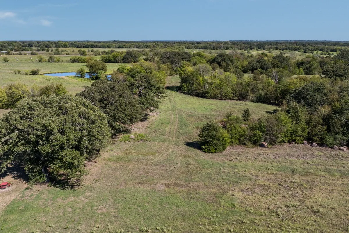 Unimproved Land For Sale in Henderson County , 000 Double Bridge Road, Mabank, Texas 75156, 0, 0, Garage spaces, 0 Sqft, built in 0, mls#21406780, Real Estate Agent in Mabank, Homes For Sale in Henderson county, Homes For Sale in Mabank, Realtor in Mabank Texas, Real Estate Brokerage Independent Realty Texas, Luminita Cordes Realtor