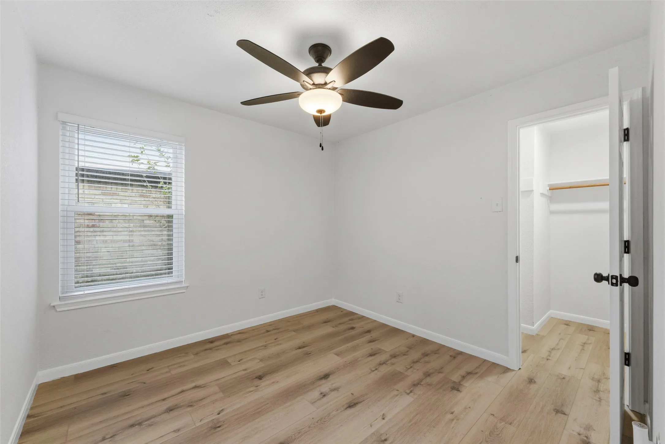 Wood-finish flooring, ceiling fan, window with blinds, and a built-in closet with shelving