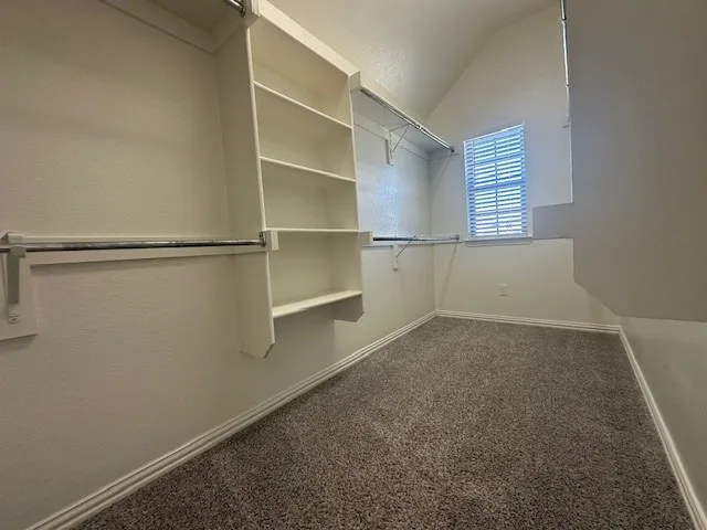 Integrated shelving, hanging rods, textured walls, window with blinds, and carpeting