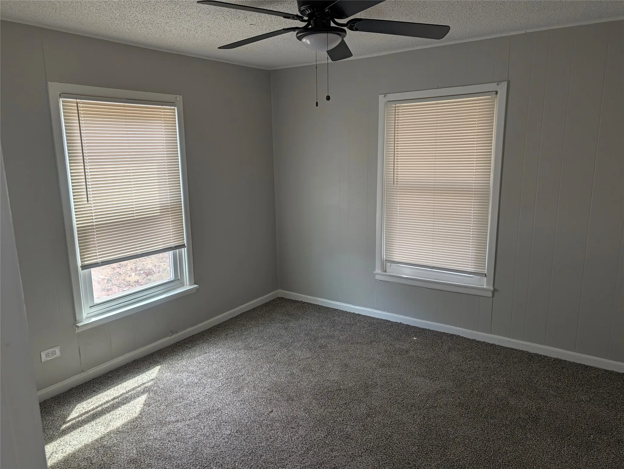 Wall-to-wall carpeting, two windows with blinds, paneling, and a ceiling fan