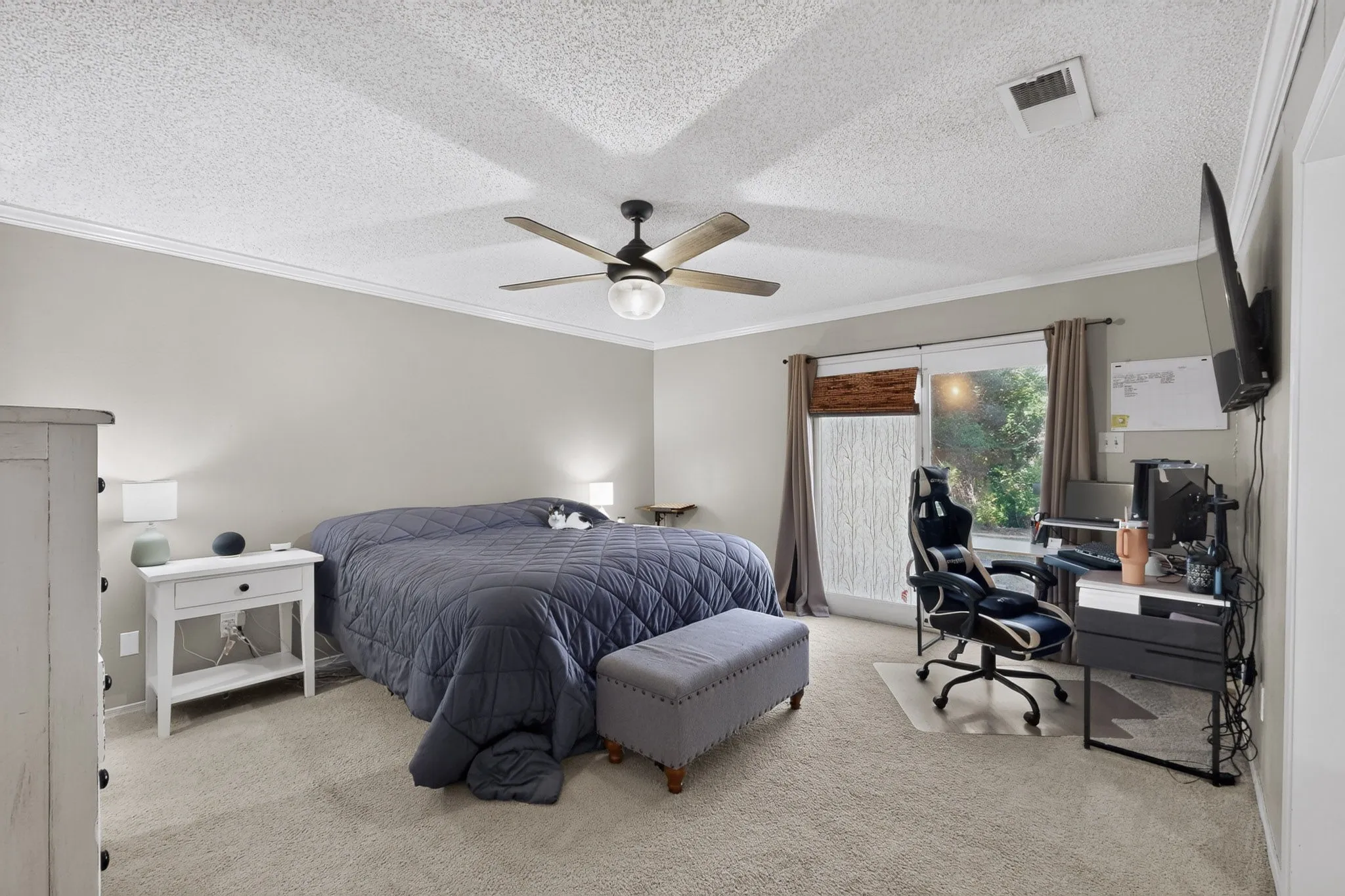 Light-filled interior featuring neutral wall tones, crown molding, and carpet flooring