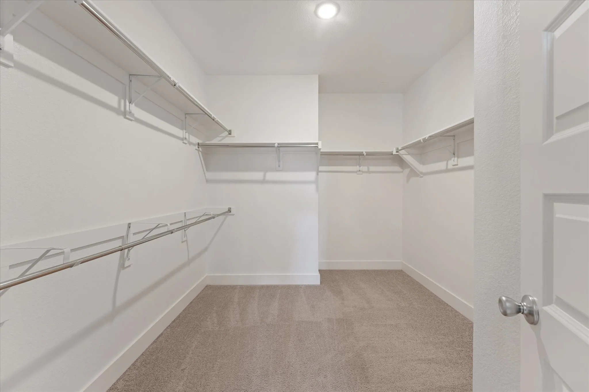 Spacious walk-in closet with carpeted flooring, white walls, built-in shelving, and hanging rods
