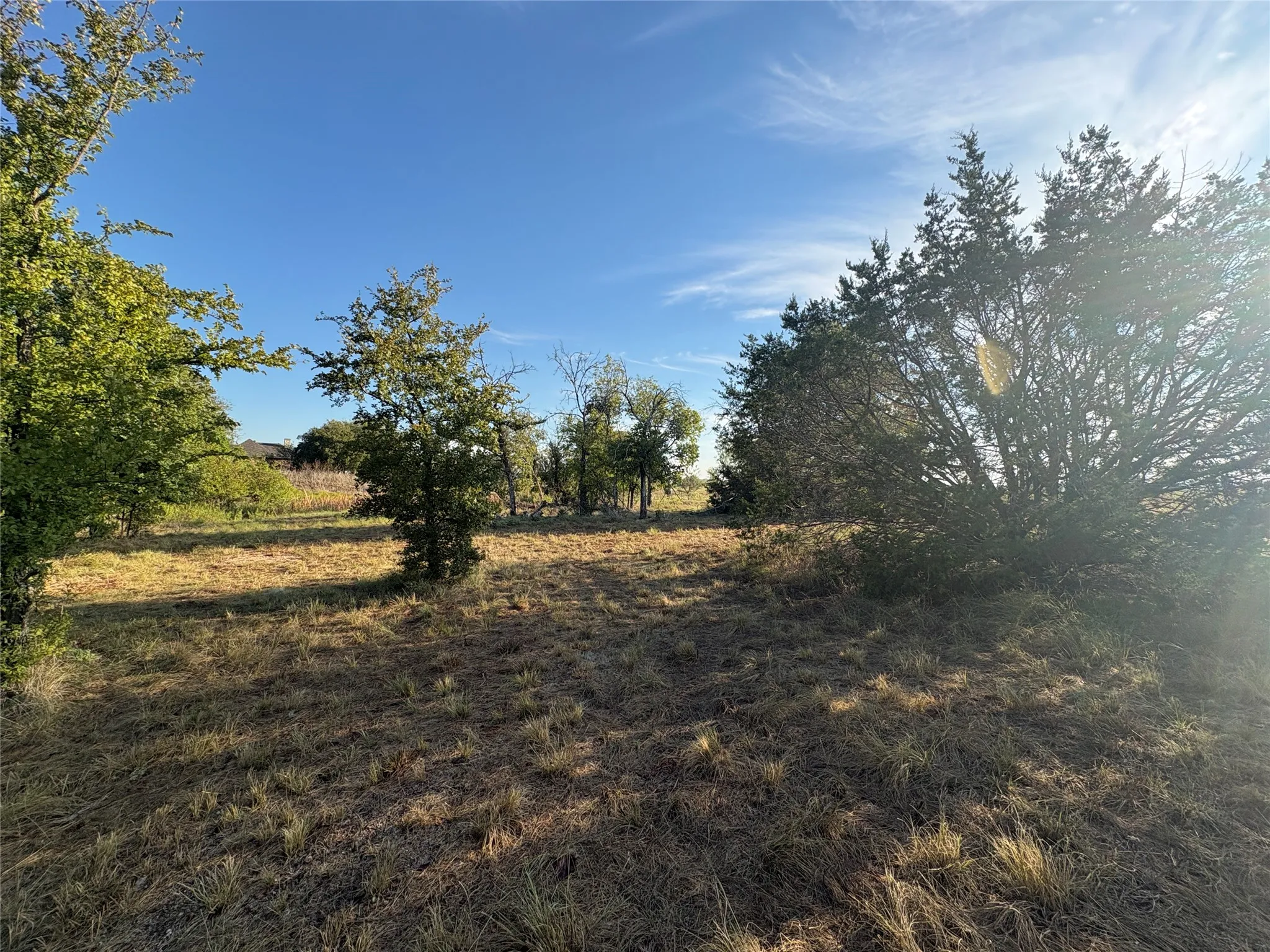 Expansive lot featuring a natural landscape and mature trees