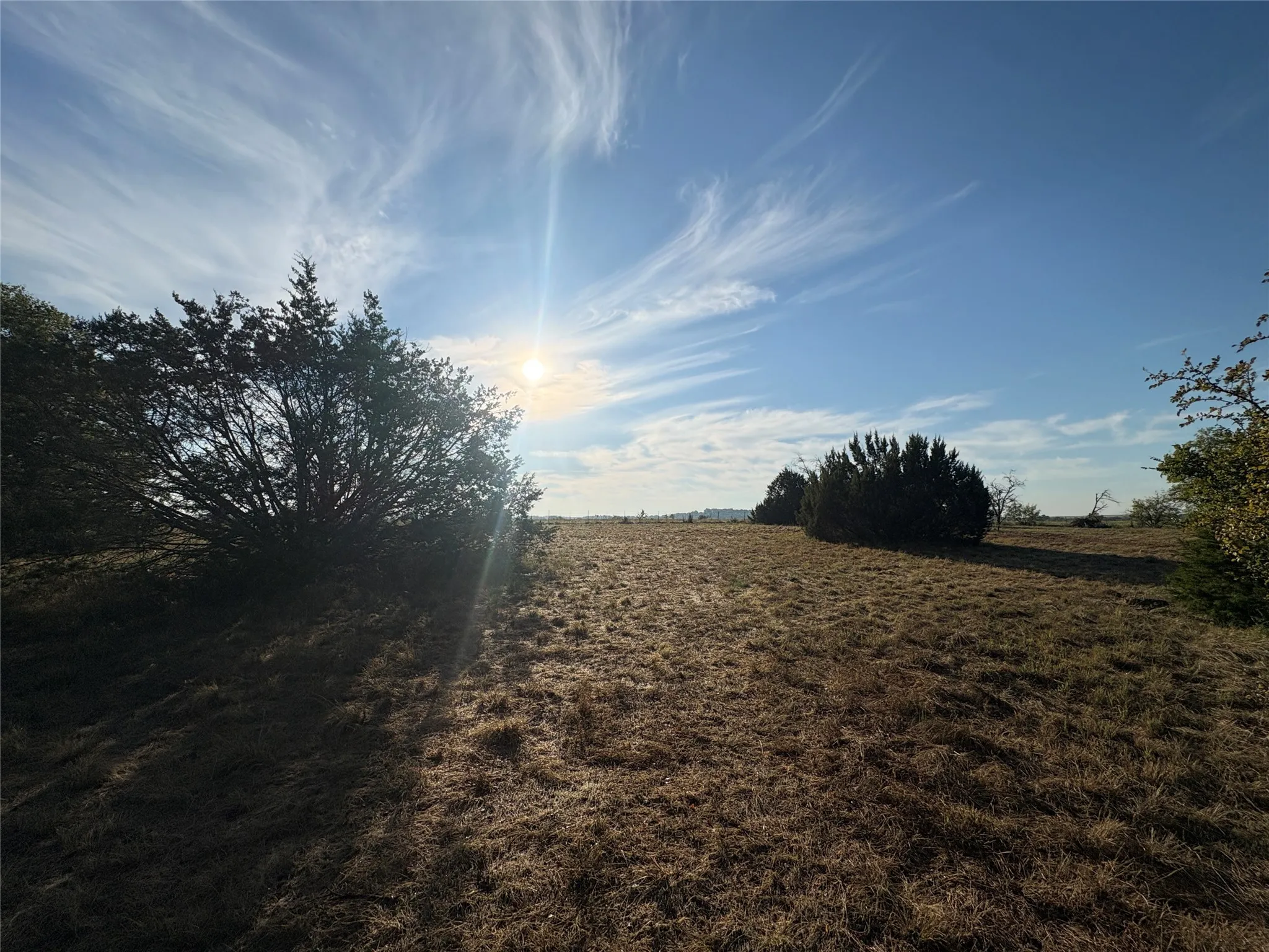 Expansive open land with scattered mature trees and natural vegetation