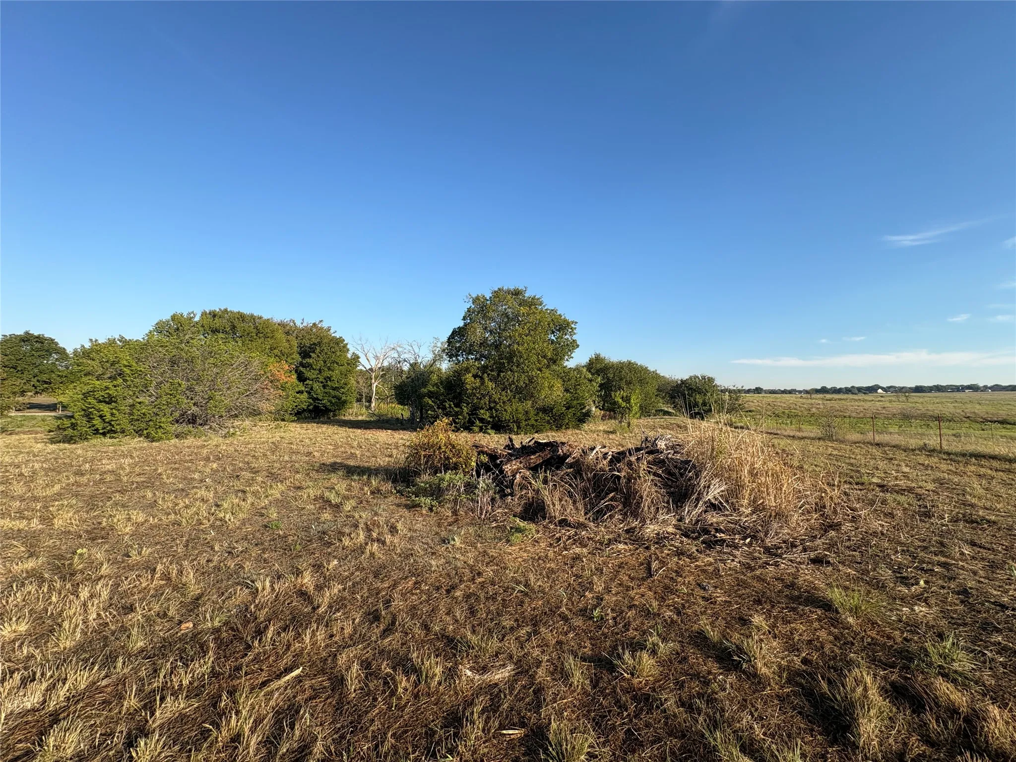 Expansive open field with scattered natural vegetation and a distant treeline