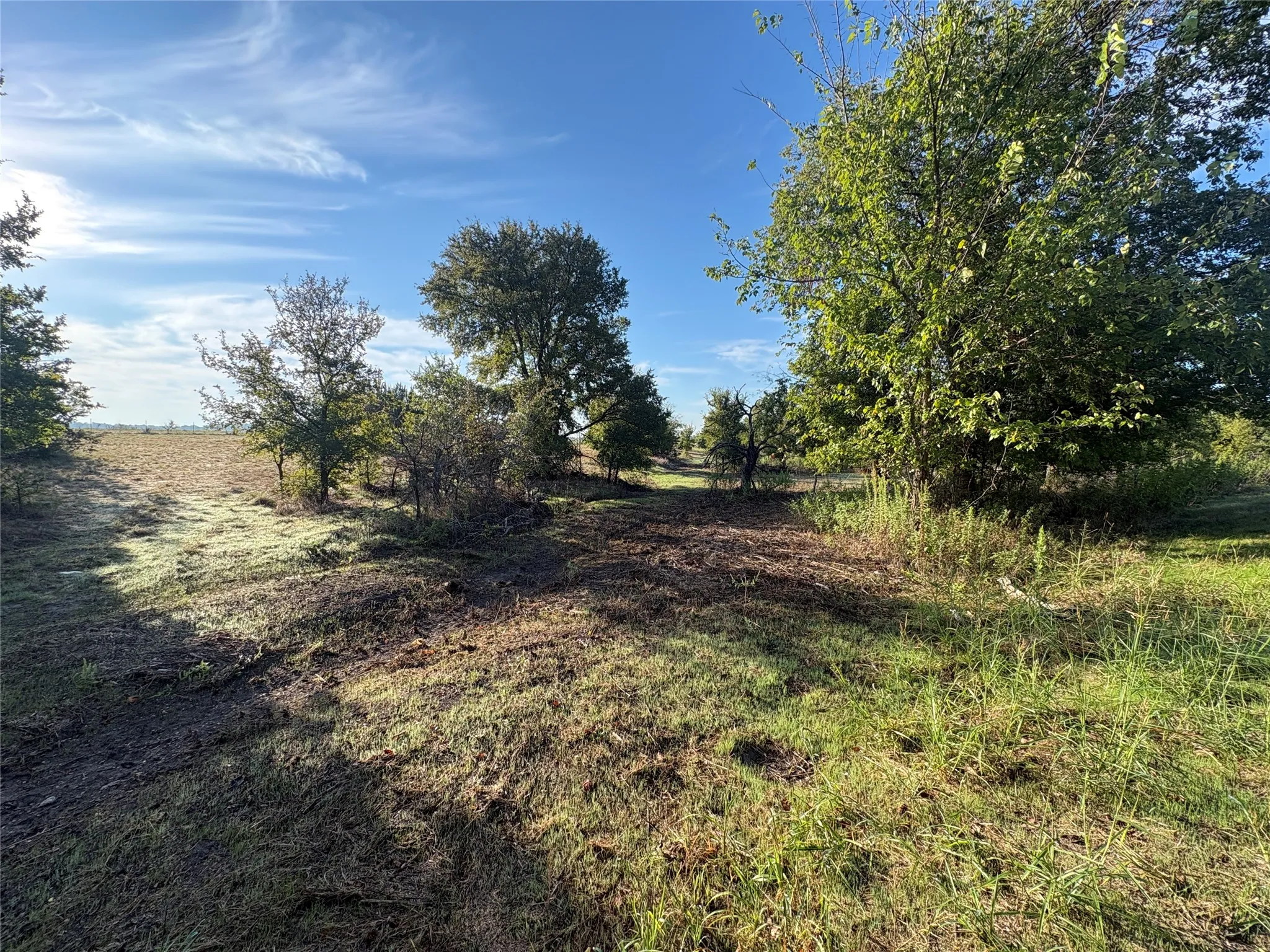Expansive open land with varying ground cover, mature trees, and a clear blue sky