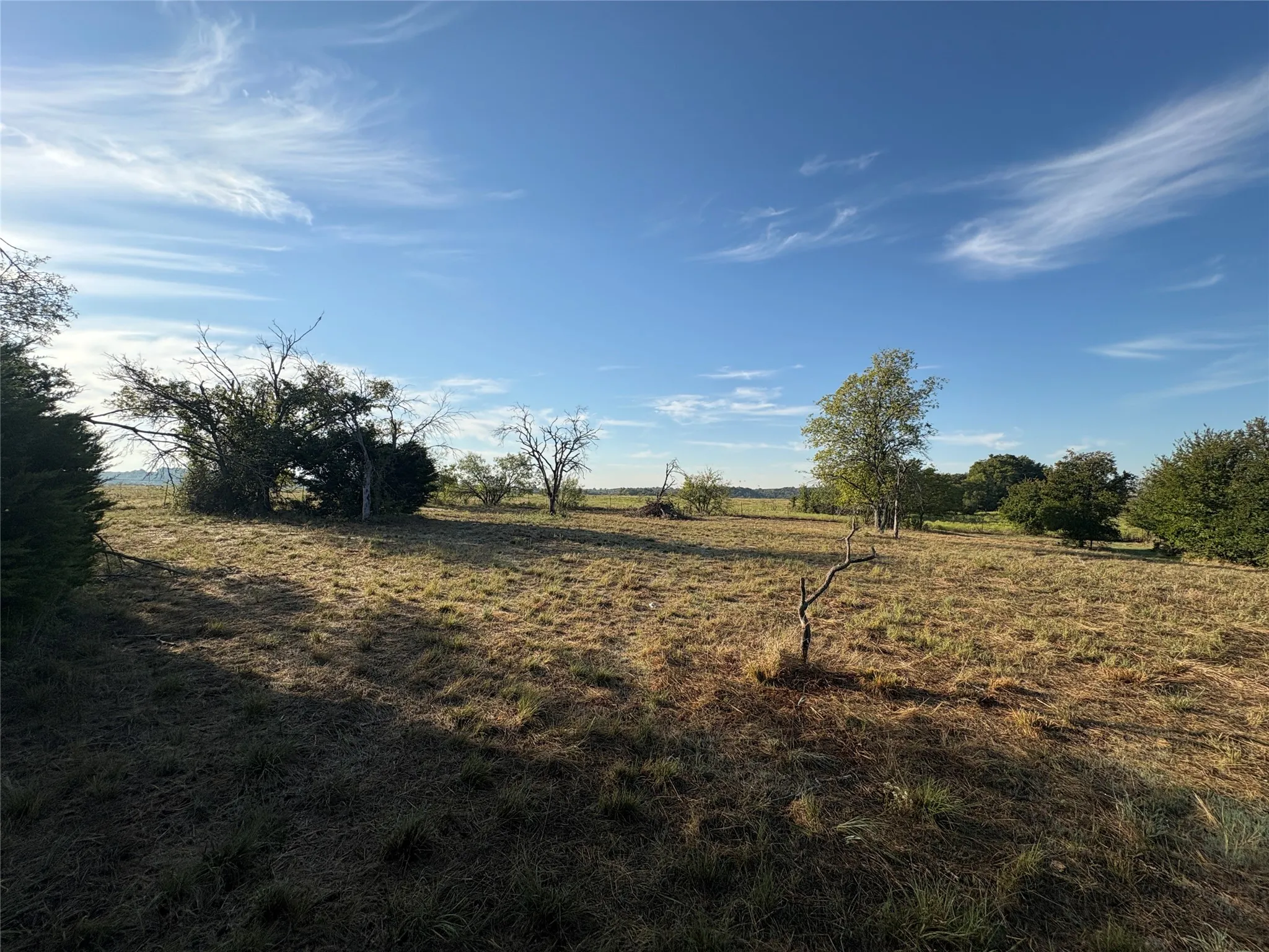 Expansive open acreage featuring scattered mature trees and natural vegetation