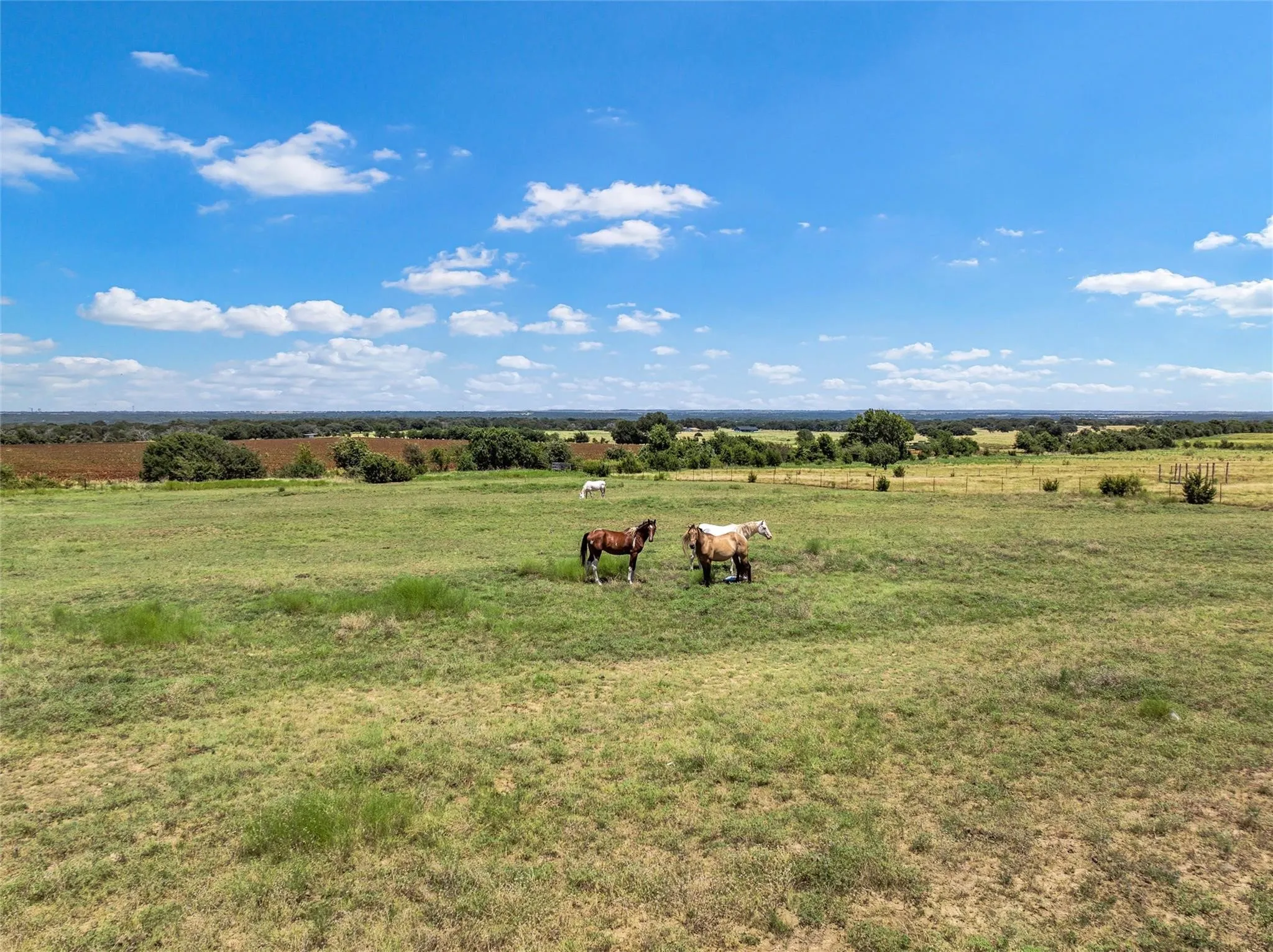 Farm For Sale in Coryell County , 1910 County Road 341, Moody, Texas 76557, 3 Bedroom, 2 Bathroom, Garage spaces, 2,392 Sqft, built in 2003, mls#21406769, Real Estate Agent in Moody, Homes For Sale in Coryell county, Homes For Sale in Moody, Realtor in Moody Texas, Real Estate Brokerage Independent Realty Texas, Luminita Cordes Realtor
