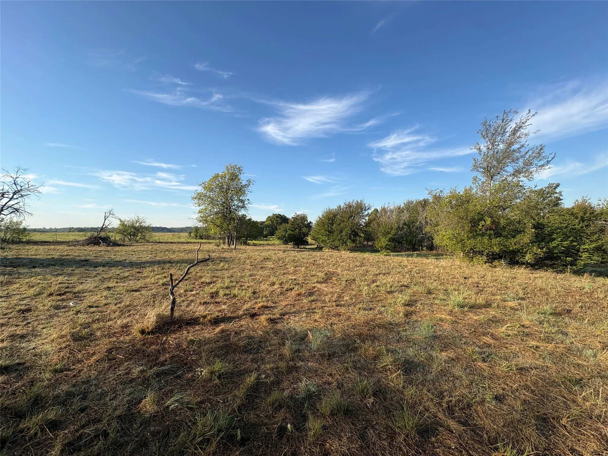 Expansive land area featuring natural vegetation and scattered trees