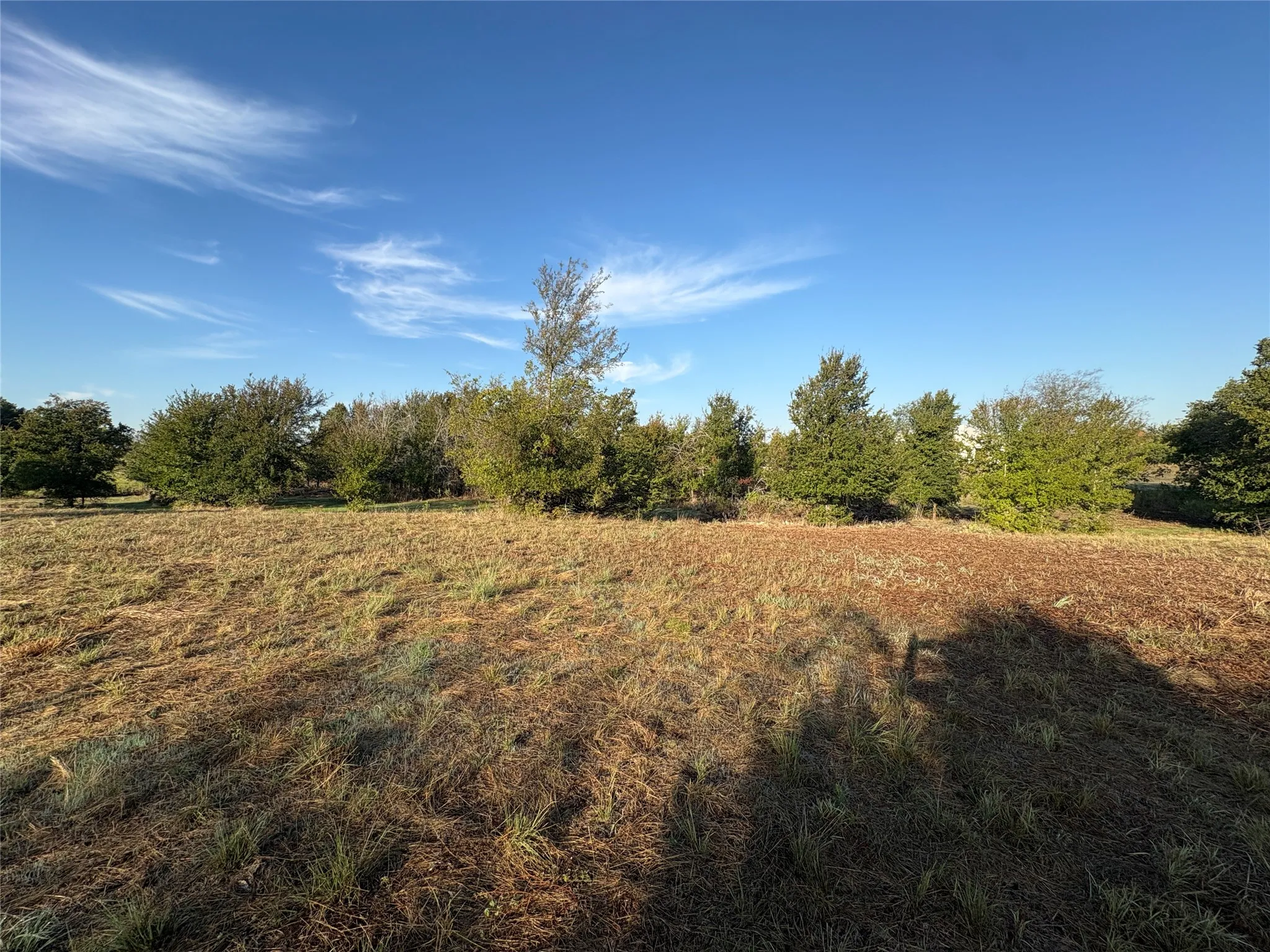 Expansive open land with natural ground cover, bordered by a line of mature trees and shrubs under a broad sky