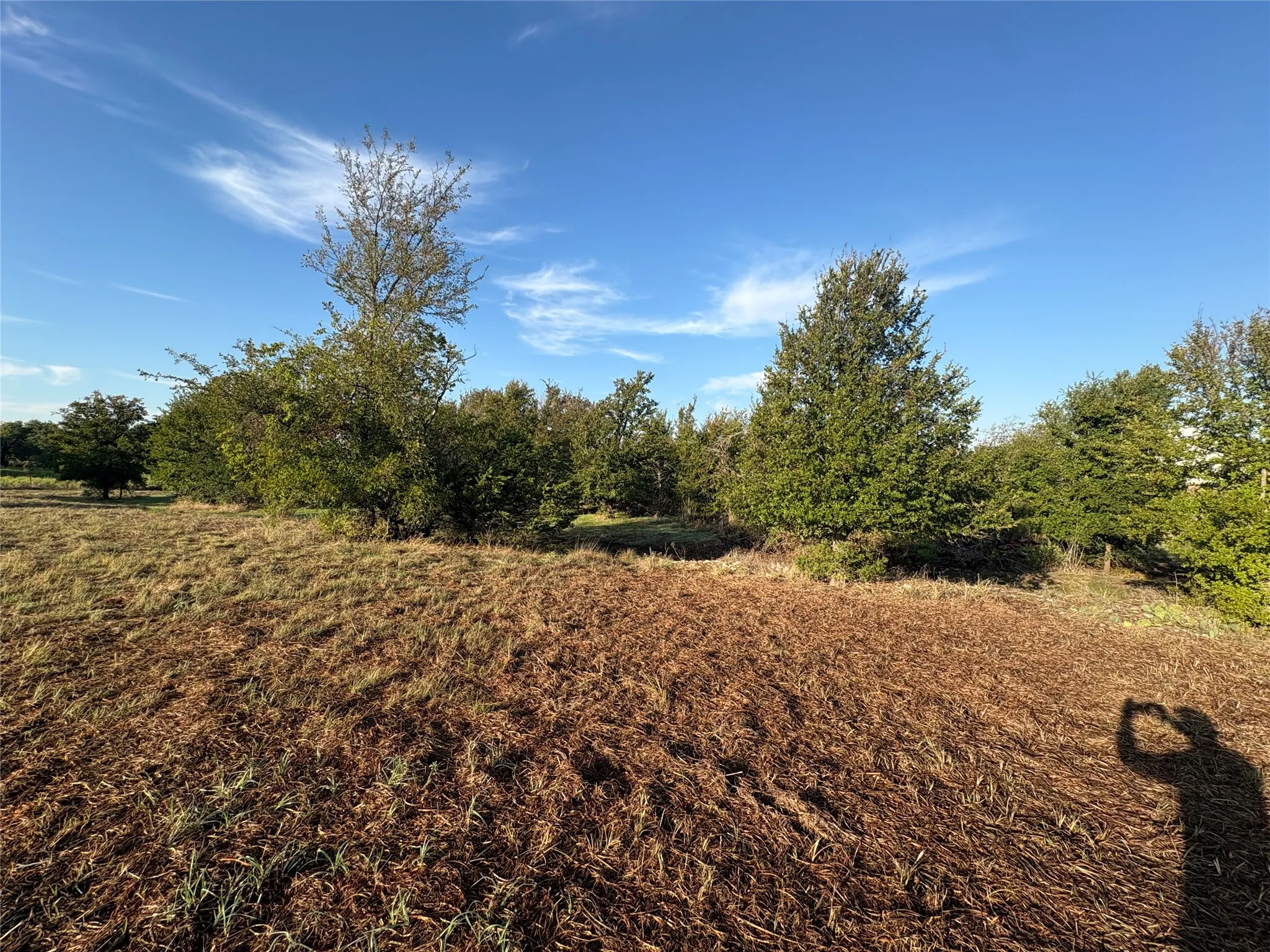 Expansive open land with mature trees and varied vegetation