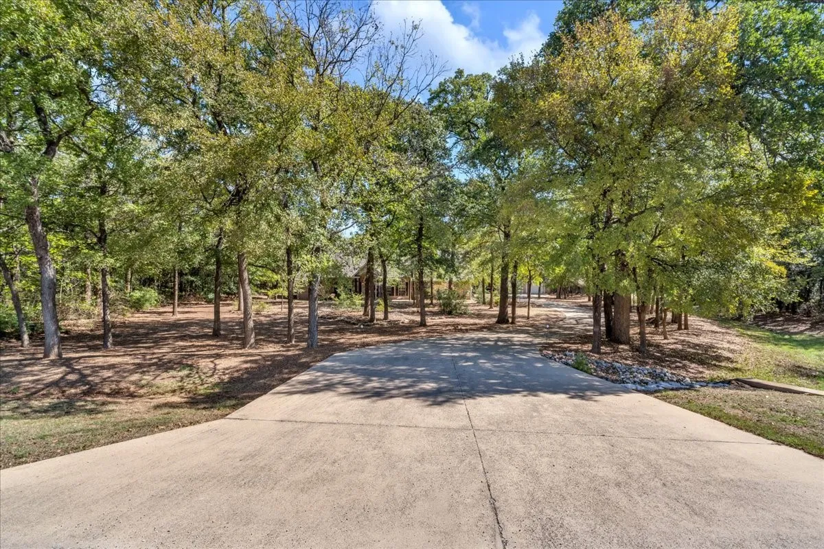 Concrete driveway with a natural treed setting and landscaped rock border