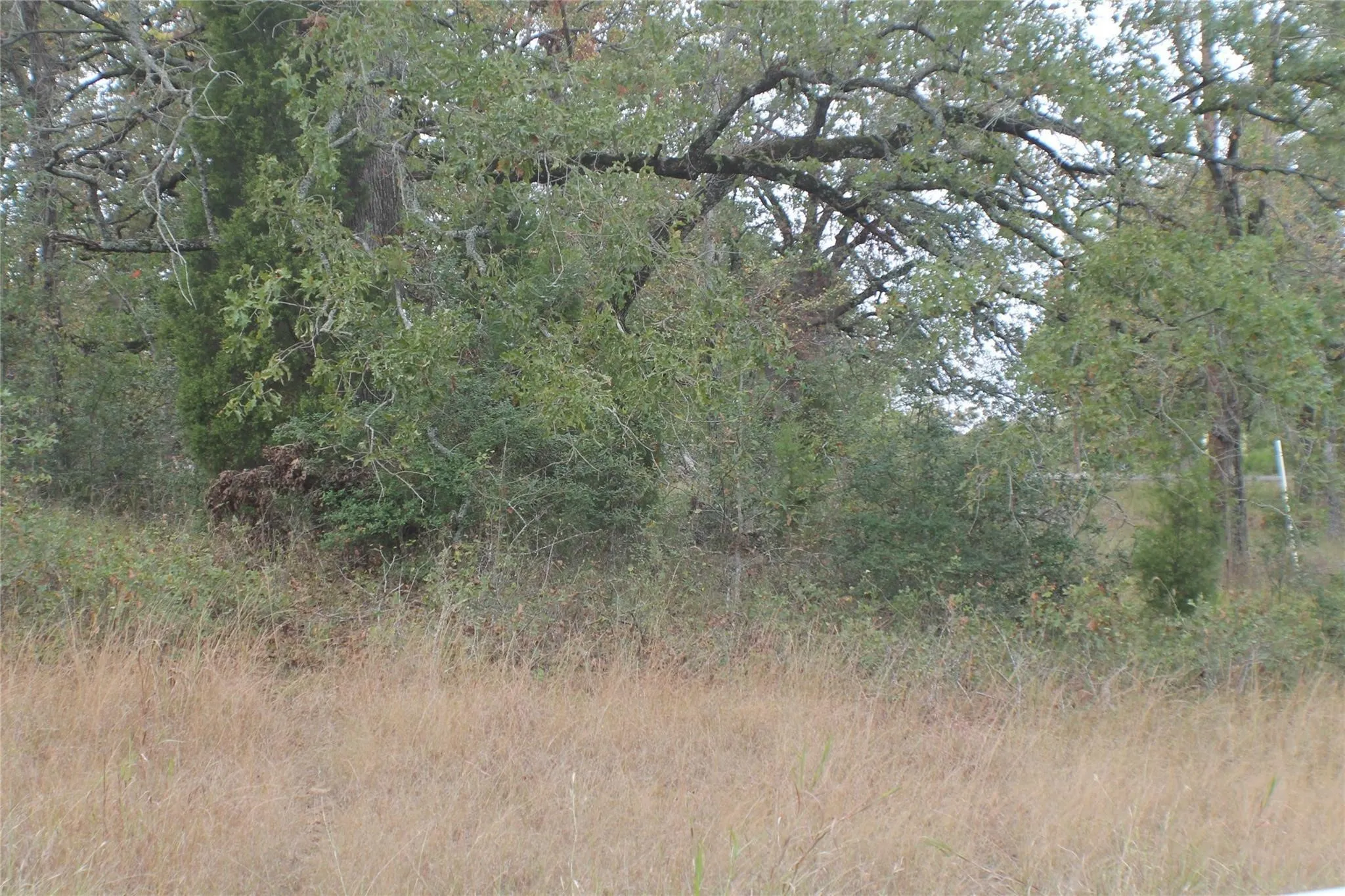Unimproved Land For Sale