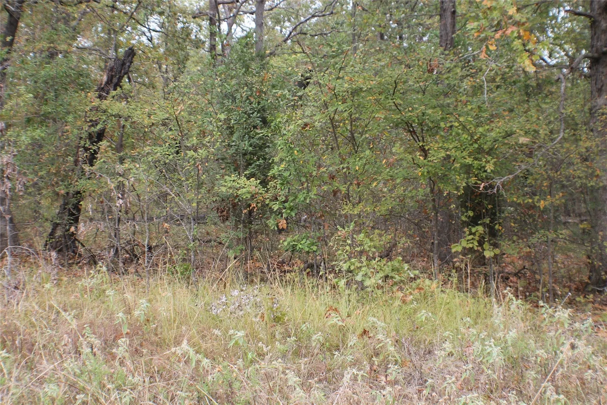 Unimproved Land For Sale in Henderson County , 355 Buena Vista, Malakoff, Texas 75148, 0, 0, Garage spaces, 0 Sqft, built in 0, mls#21404975, Real Estate Agent in Malakoff, Homes For Sale in Henderson county, Homes For Sale in Malakoff, Realtor in Malakoff Texas, Real Estate Brokerage Independent Realty Texas, Luminita Cordes Realtor