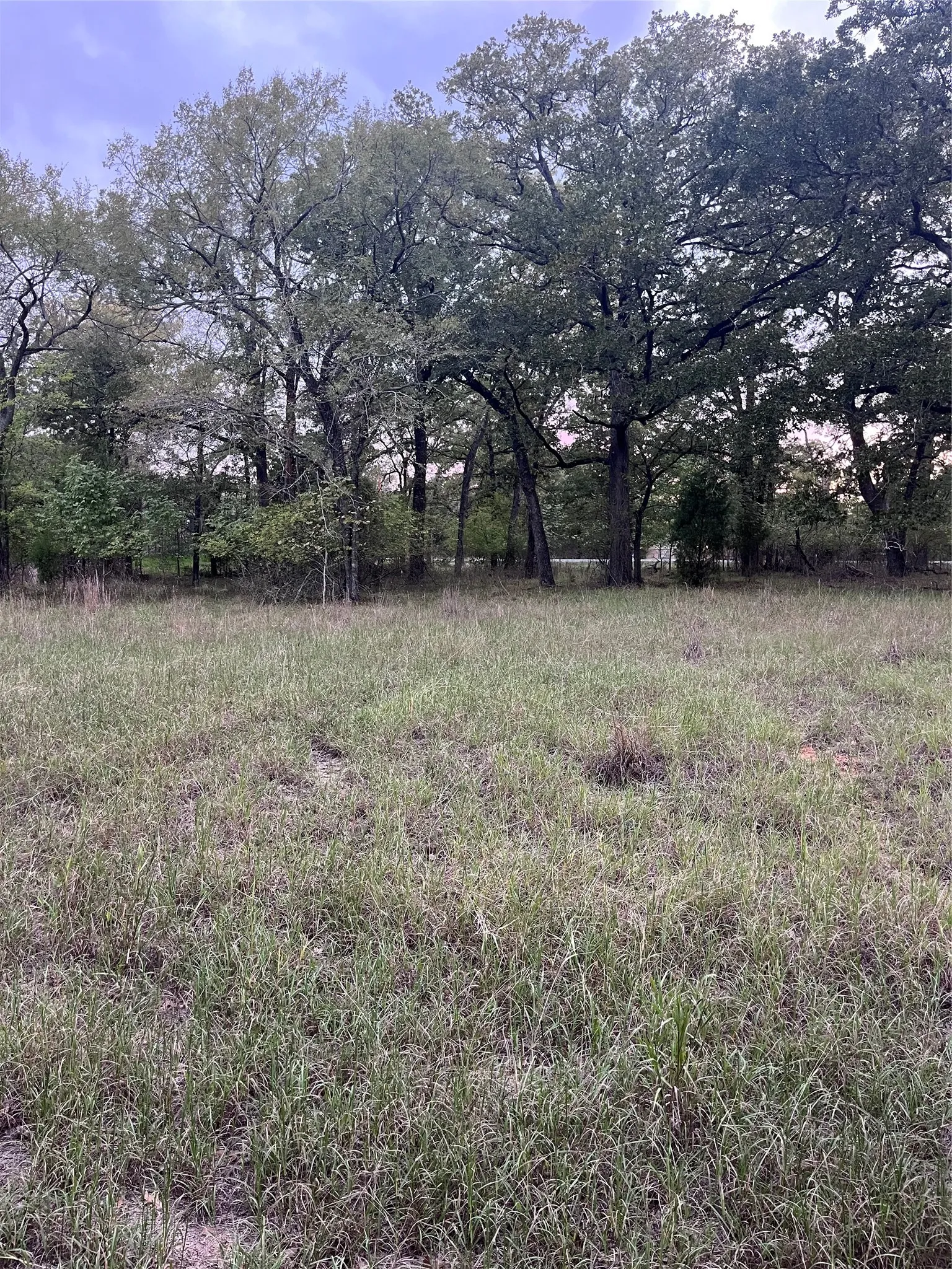 Unimproved Land For Sale