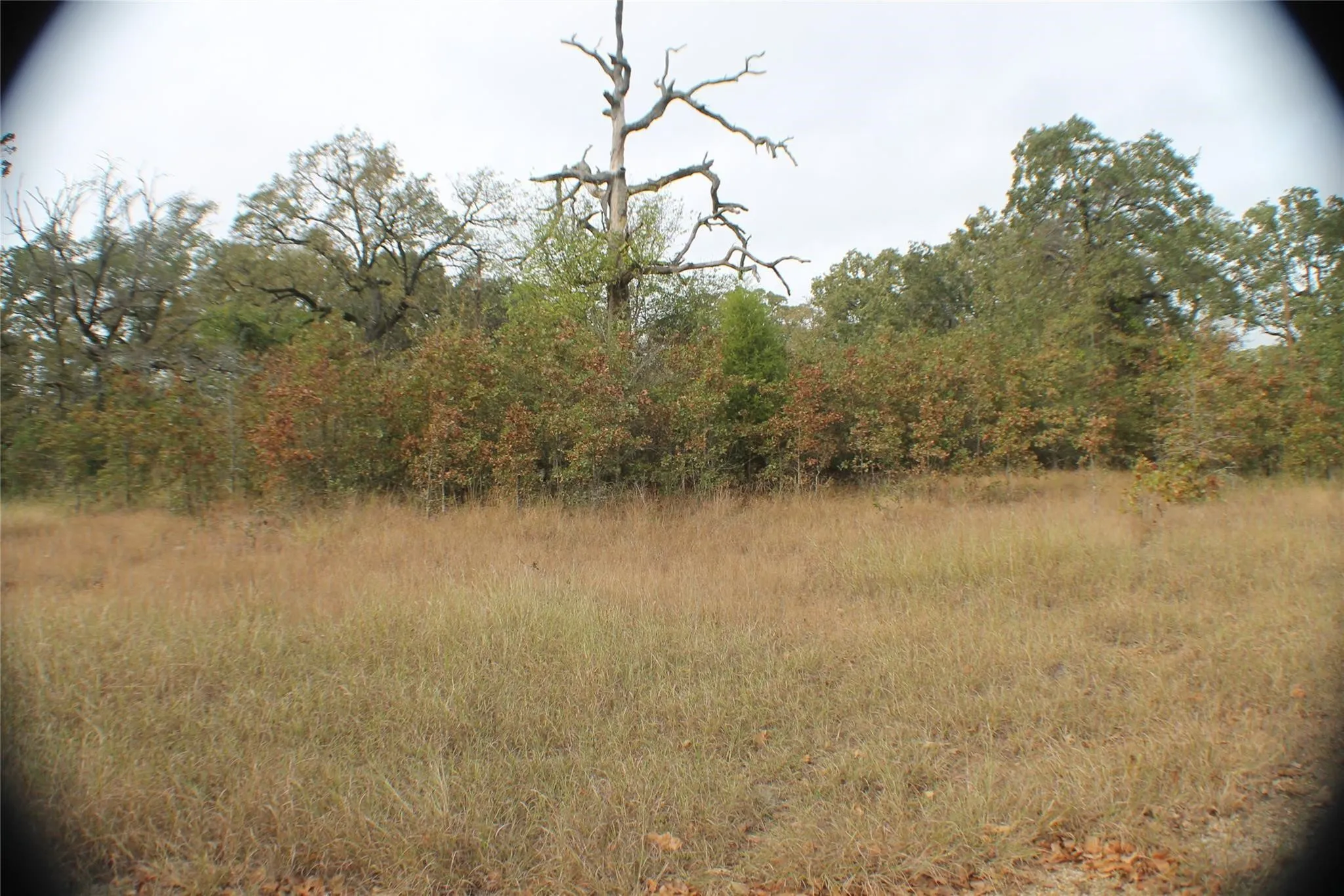 Unimproved Land For Sale in Henderson County , 26 Boca Chica, Malakoff, Texas 75148, 0, 0, Garage spaces, 0 Sqft, built in 0, mls#21404974, Real Estate Agent in Malakoff, Homes For Sale in Henderson county, Homes For Sale in Malakoff, Realtor in Malakoff Texas, Real Estate Brokerage Independent Realty Texas, Luminita Cordes Realtor