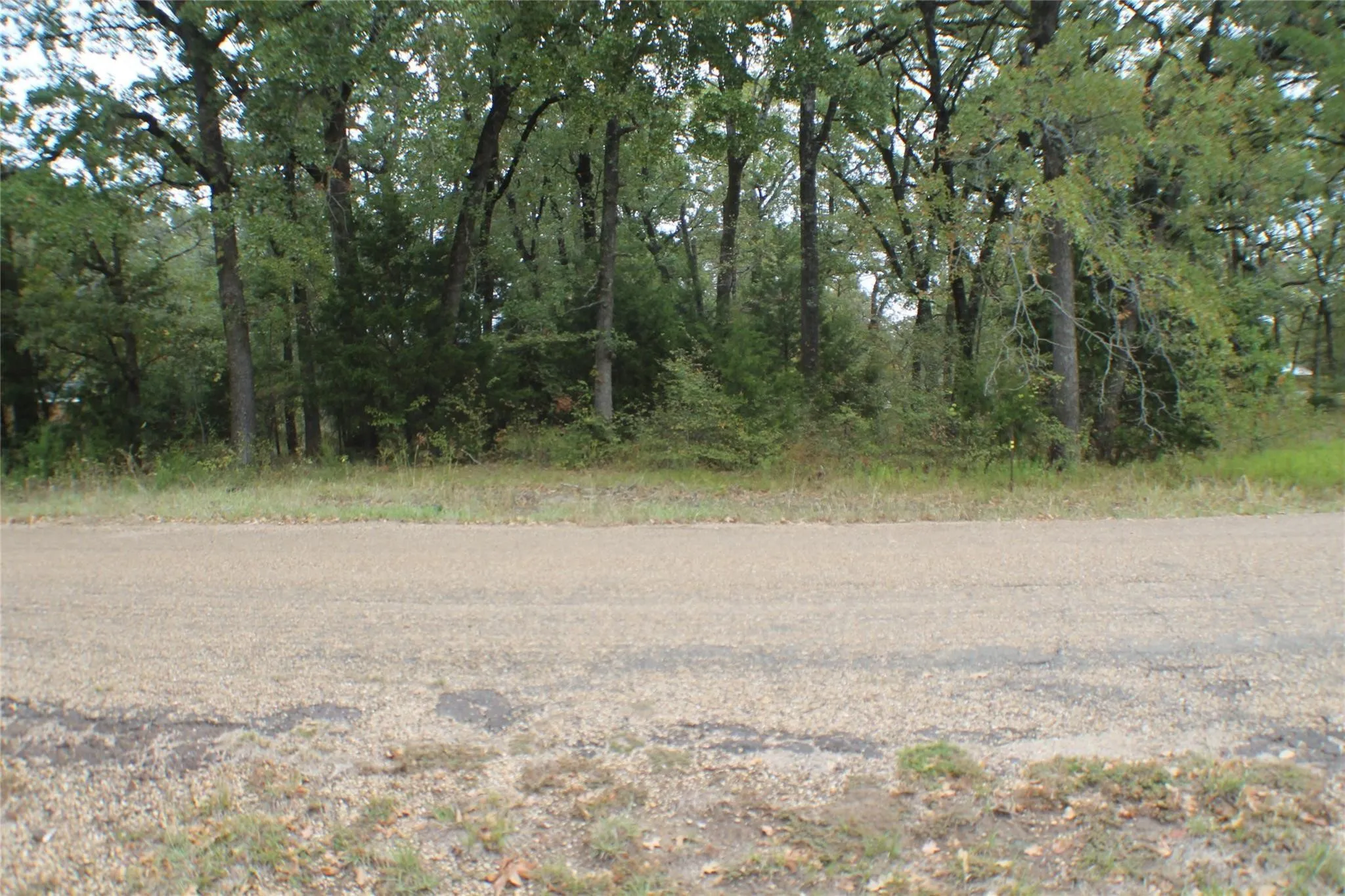 Unimproved Land For Sale in Henderson County , 6228 Choctaw Drive, Mabank, Texas 75156, 0, 0, Garage spaces, 0 Sqft, built in 0, mls#21404658, Real Estate Agent in Mabank, Homes For Sale in Henderson county, Homes For Sale in Mabank, Realtor in Mabank Texas, Real Estate Brokerage Independent Realty Texas, Luminita Cordes Realtor