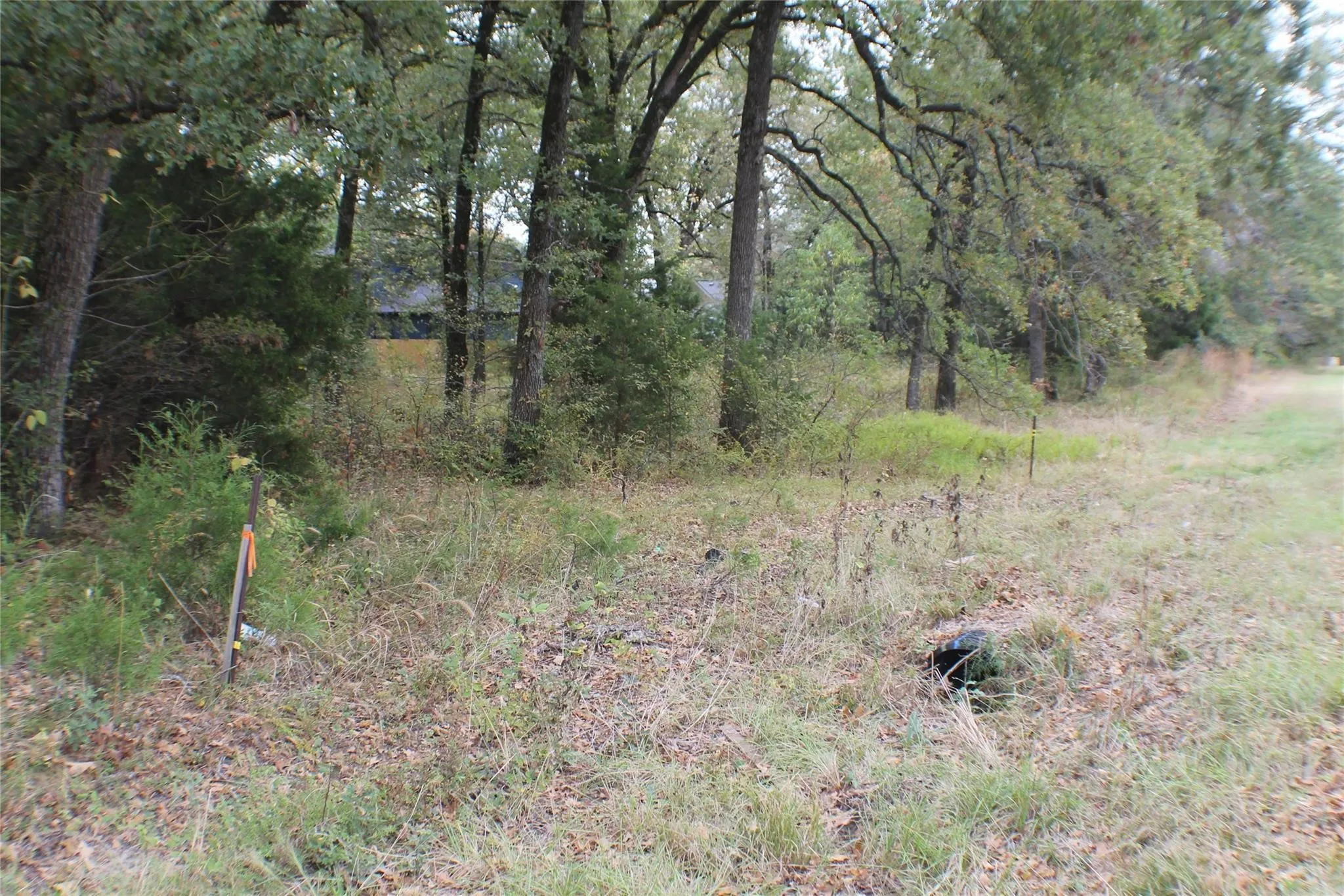 Unimproved Land For Sale