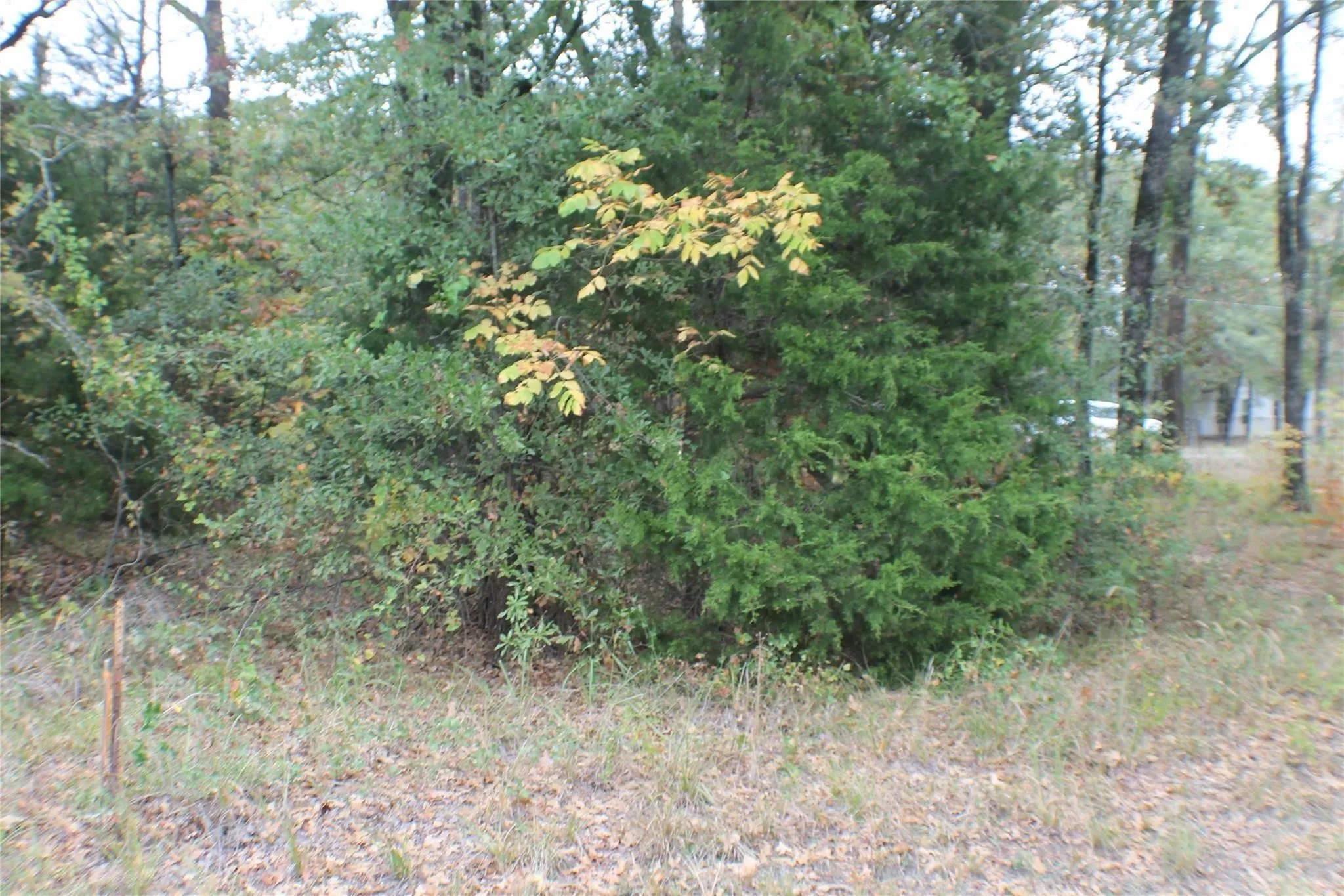Unimproved Land For Sale